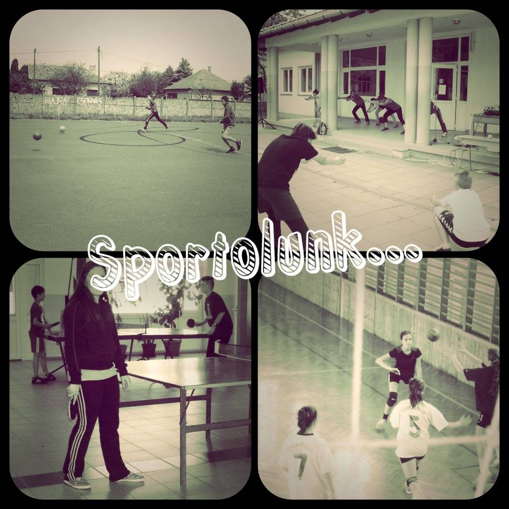 sportolunk