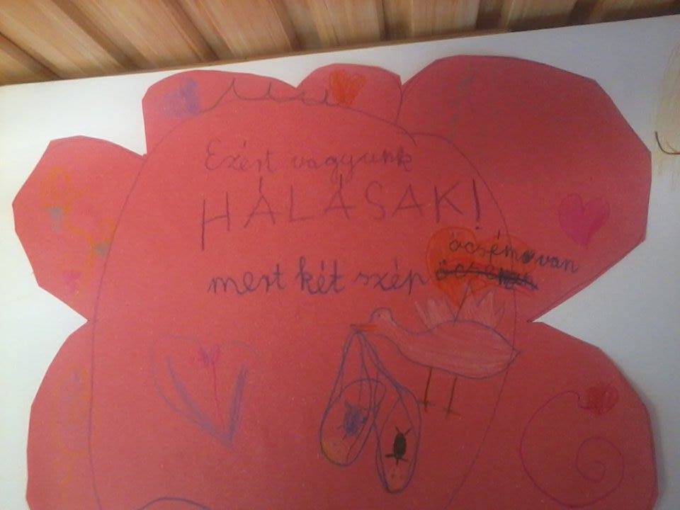 14518562_1066560426727264_2122392280_n.jpg 14518562_1066560426727264_2122392280_n.jpg