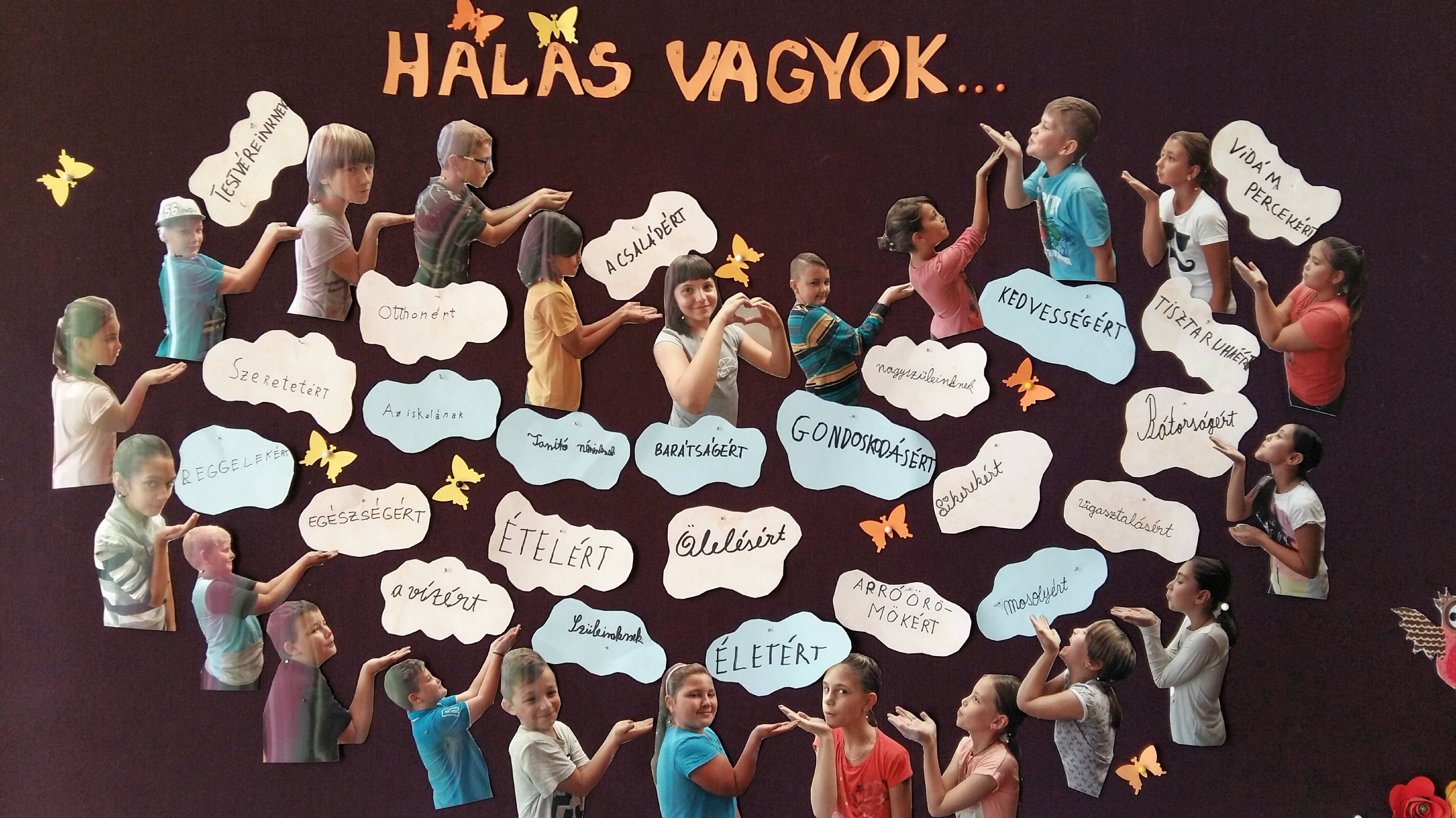 2016-09-23-13.26.19.jpg 2016-09-23-13.26.19.jpg