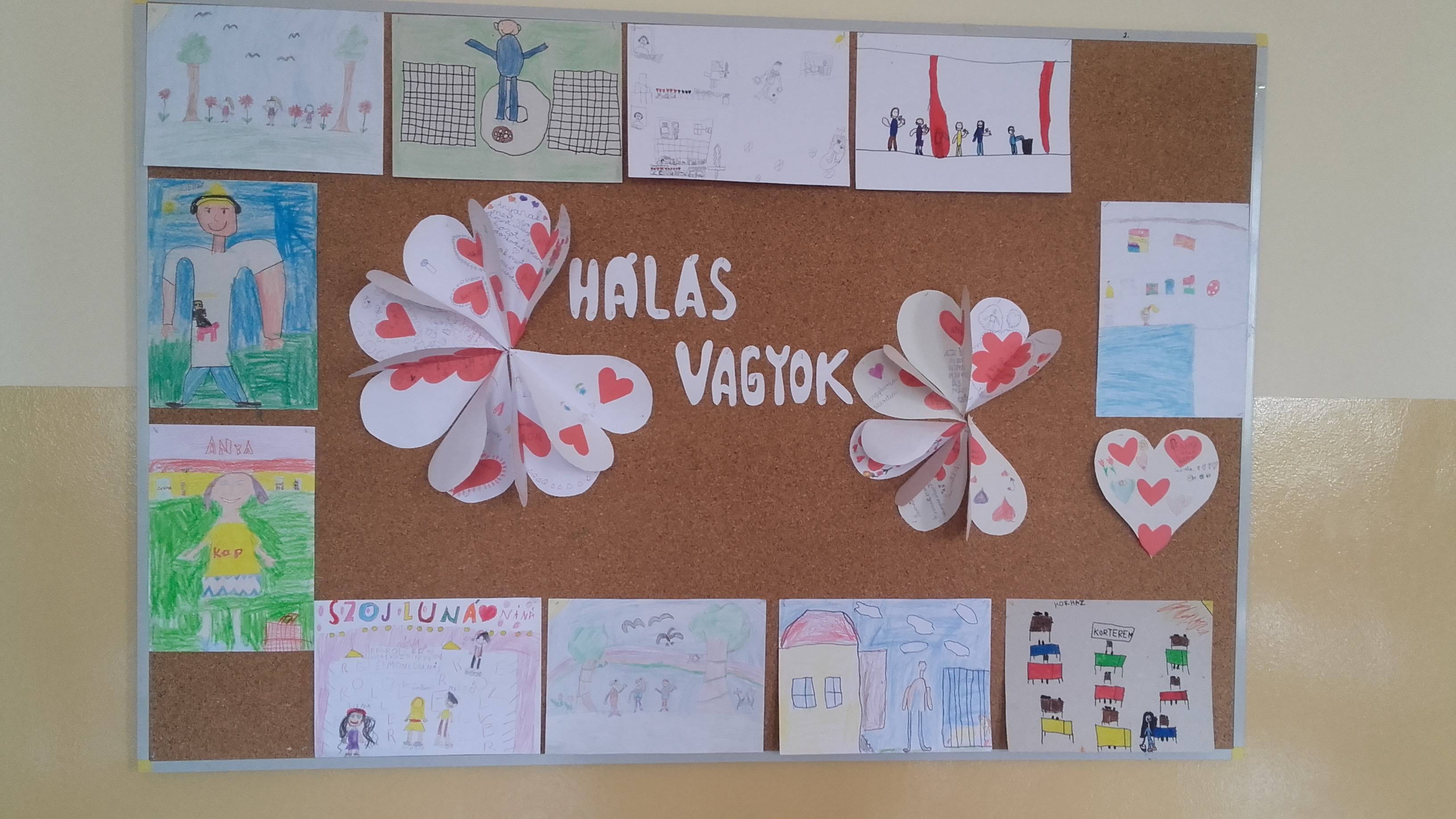 20160922_133700.jpg 20160922_133700.jpg