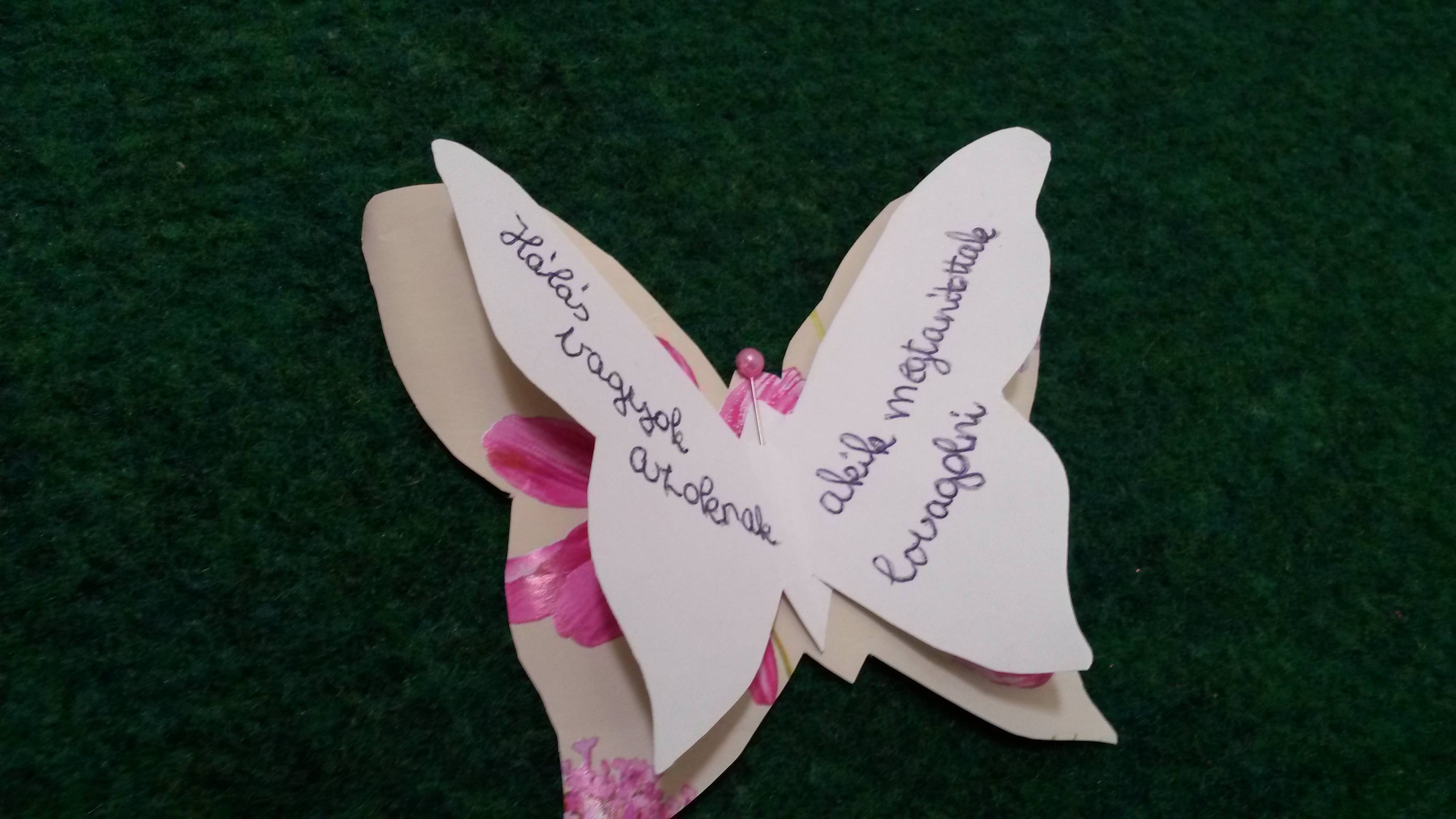 20160923_135237.jpg 20160923_135237.jpg