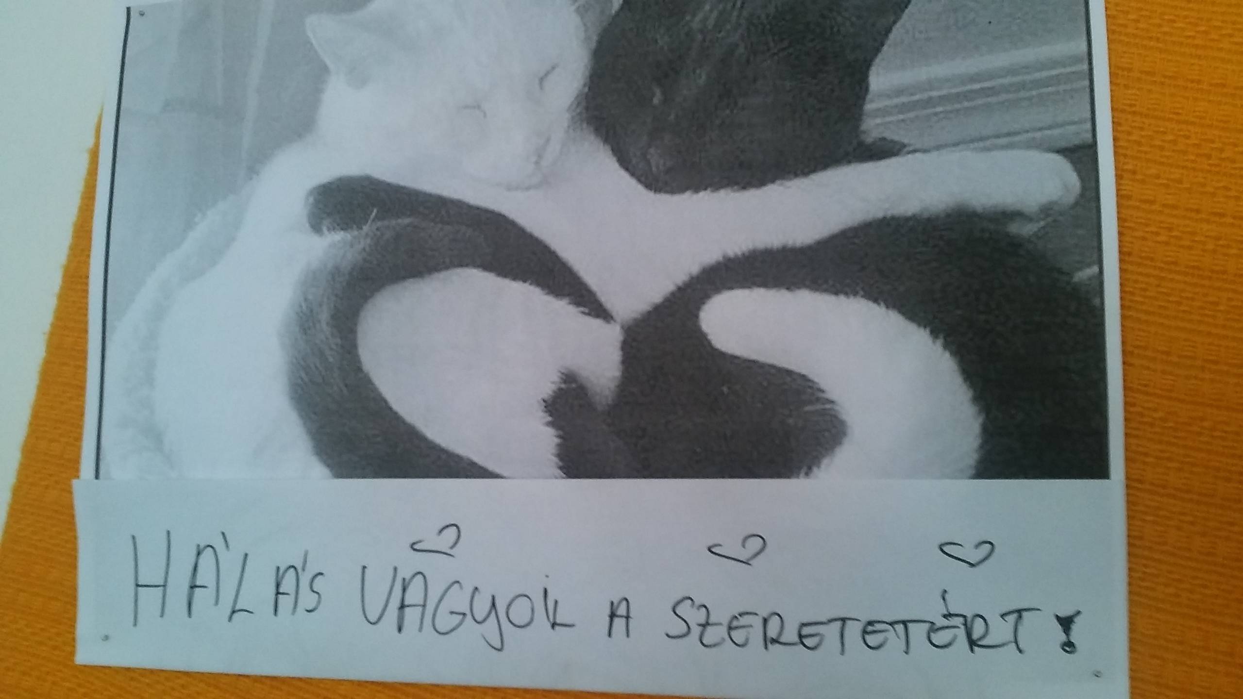 20160930_142844-1.jpg 20160930_142844-1.jpg