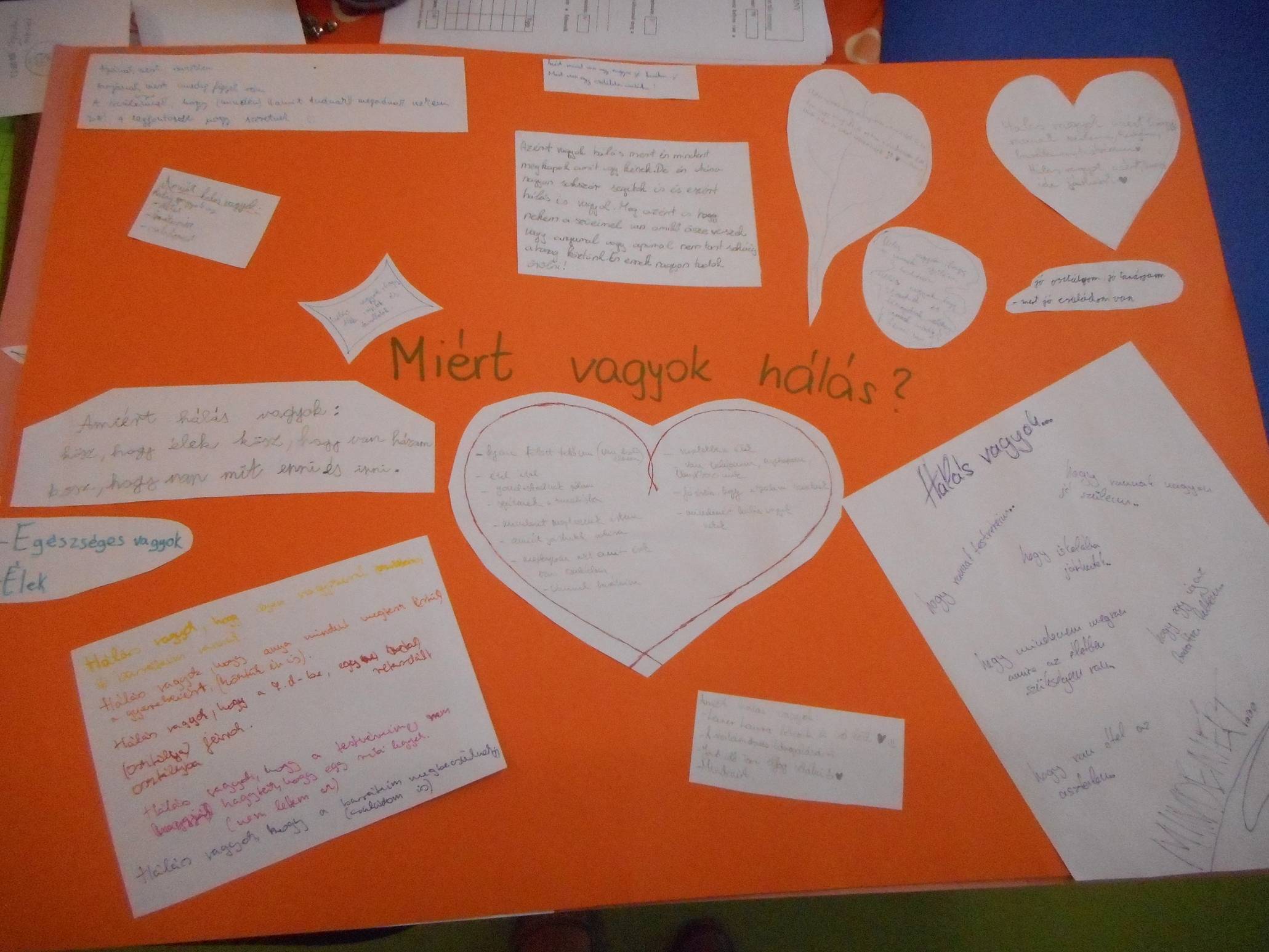 DSCN3493.jpg DSCN3493.jpg