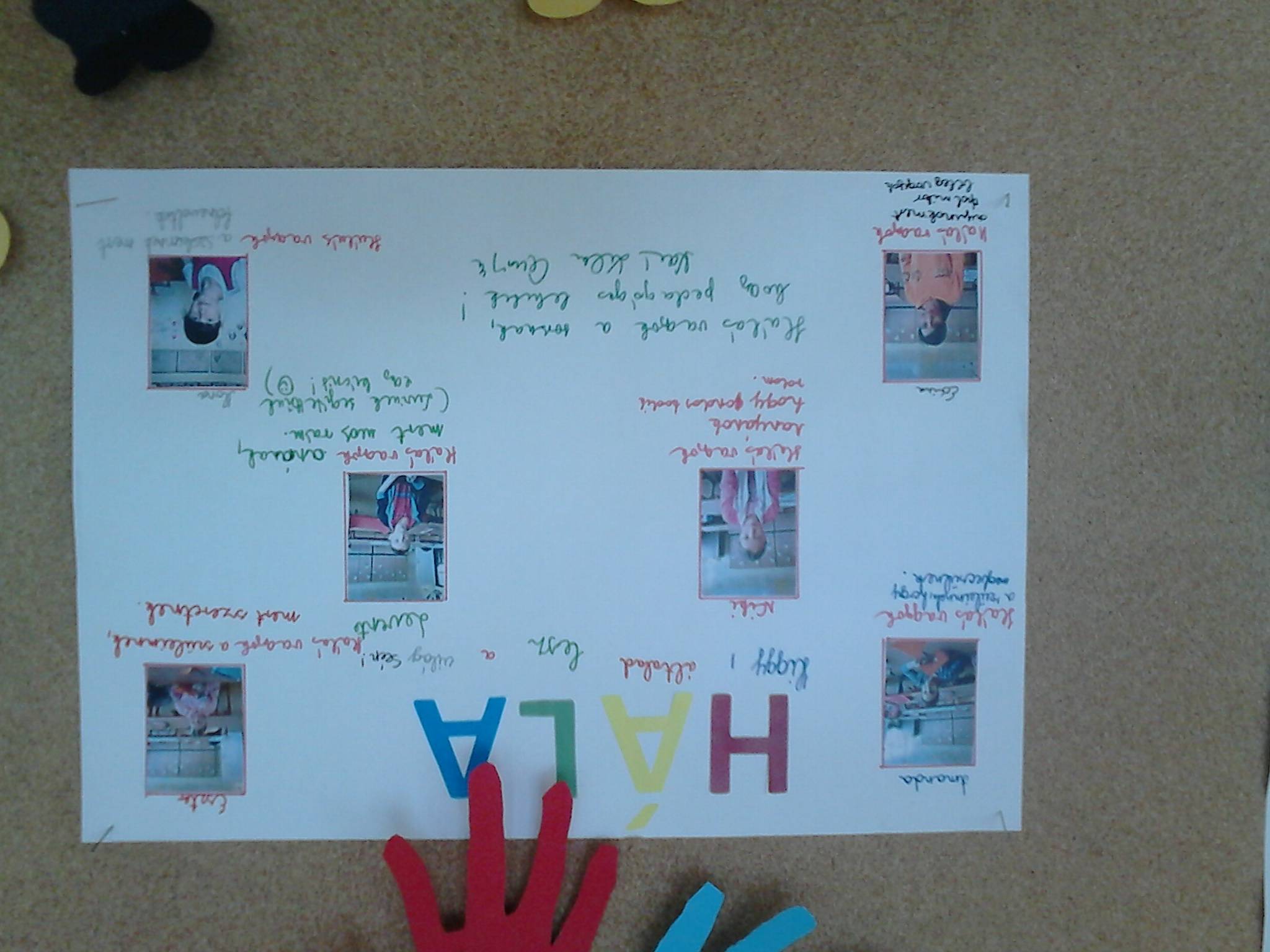 DSC_0017.jpg DSC_0017.jpg