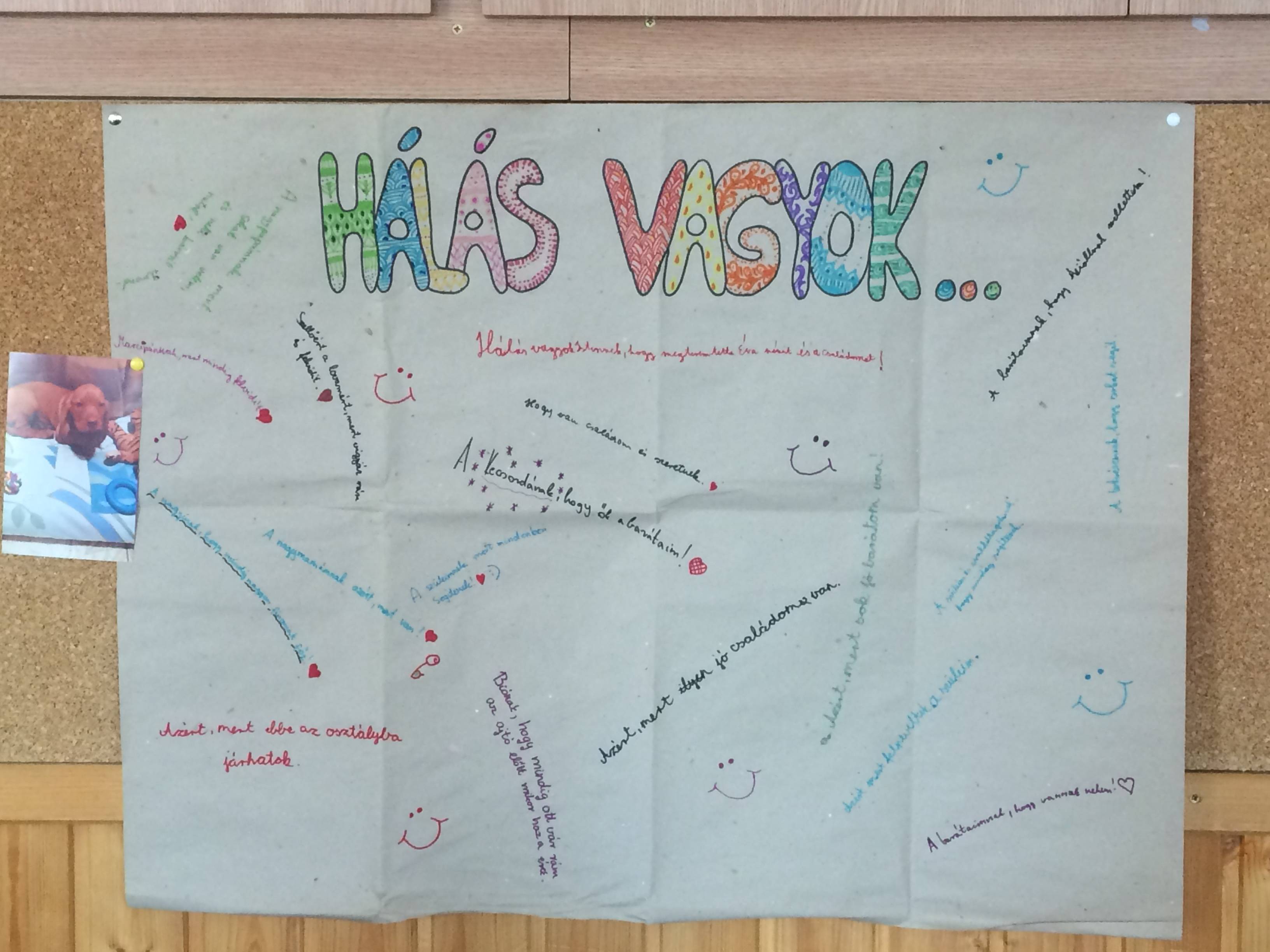 IMG_0002.jpg IMG_0002.jpg