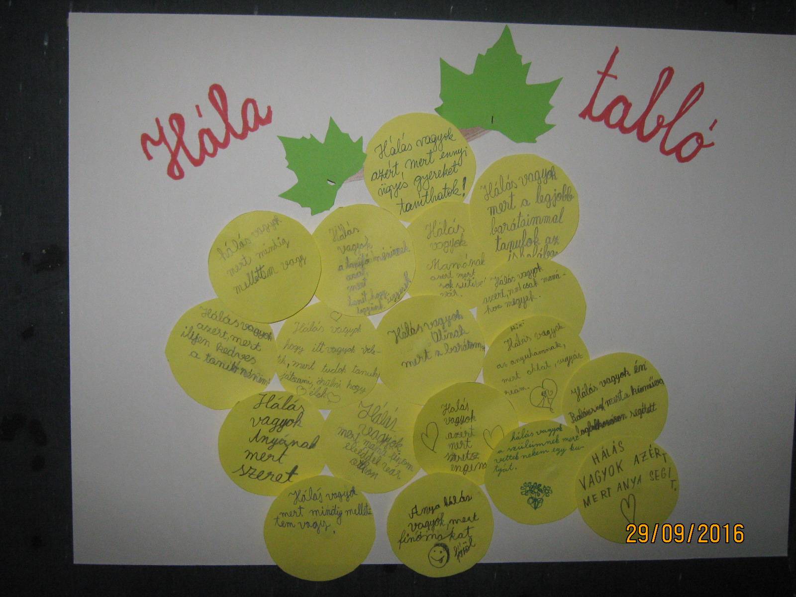 IMG_0107.jpg IMG_0107.jpg