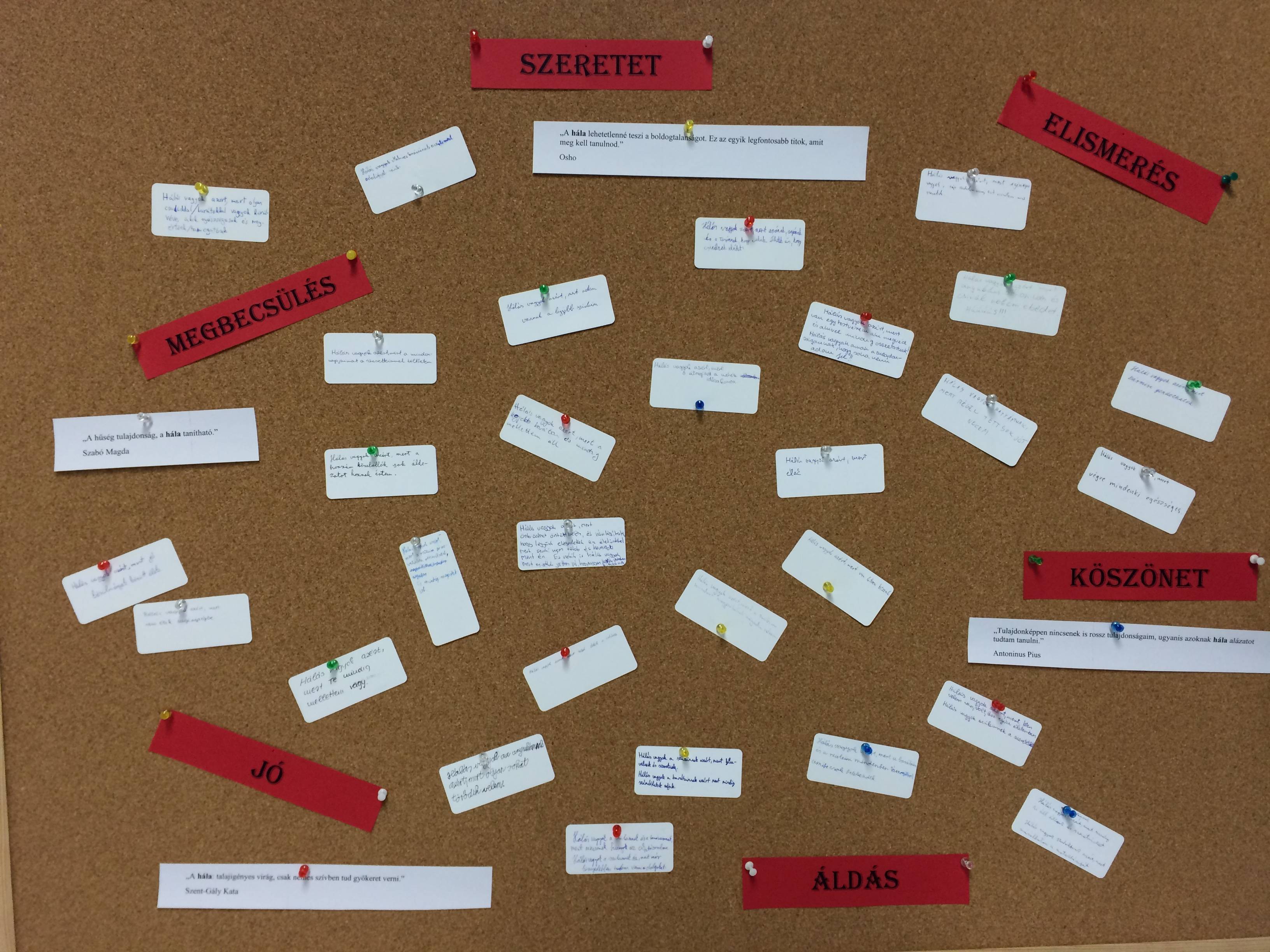 IMG_0873.jpg IMG_0873.jpg