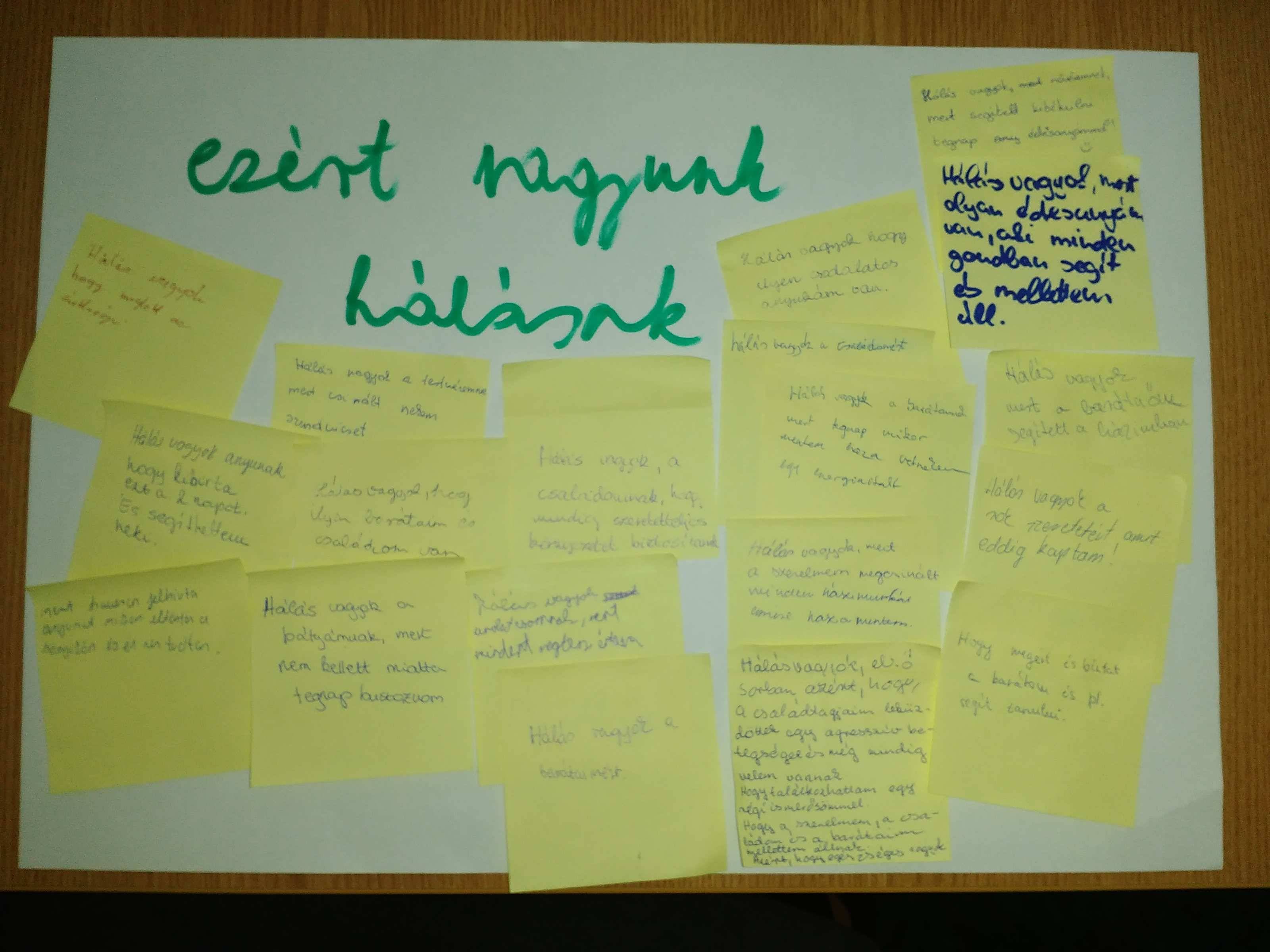 IMG_20160914_144449.jpg IMG_20160914_144449.jpg