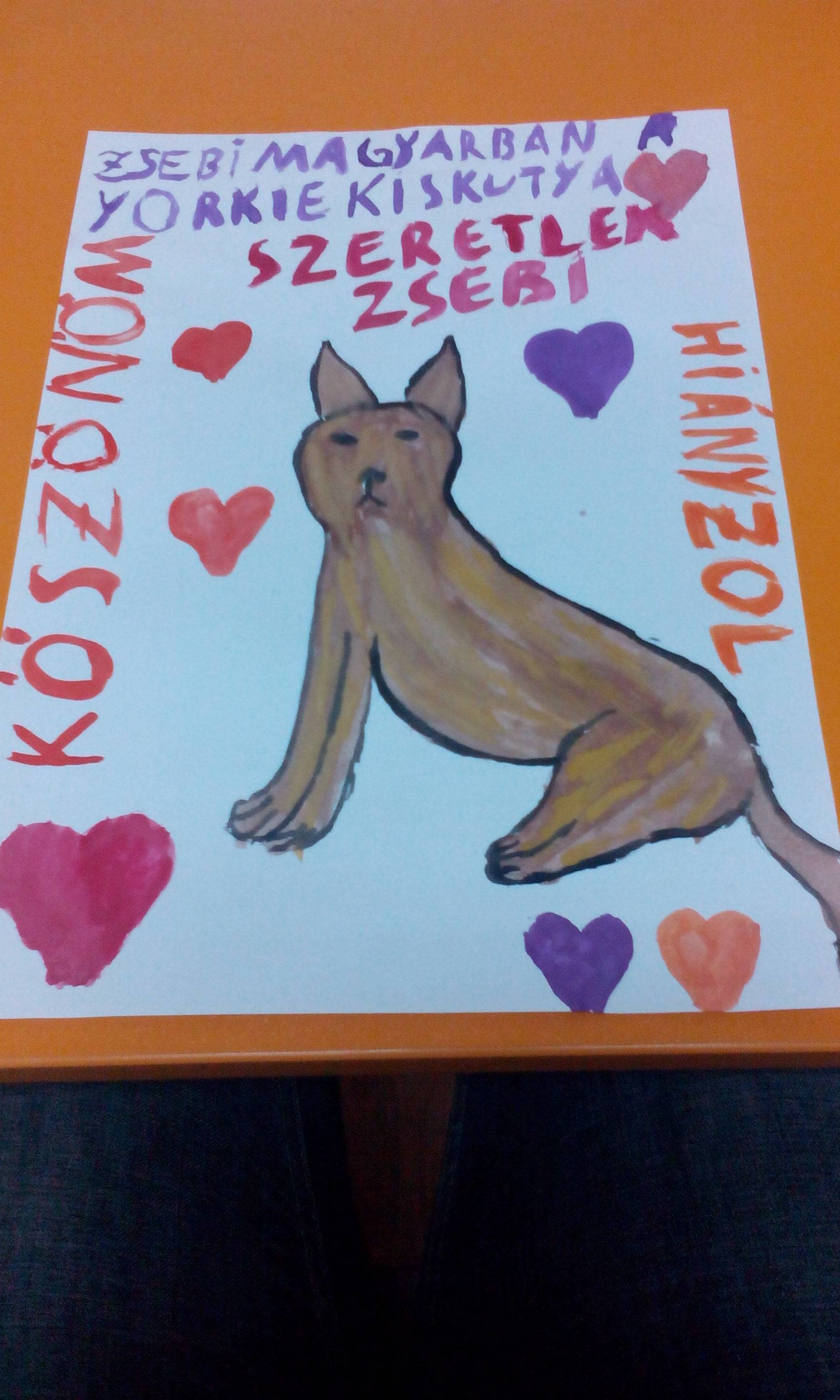 IMG_20160920_133531.jpg IMG_20160920_133531.jpg