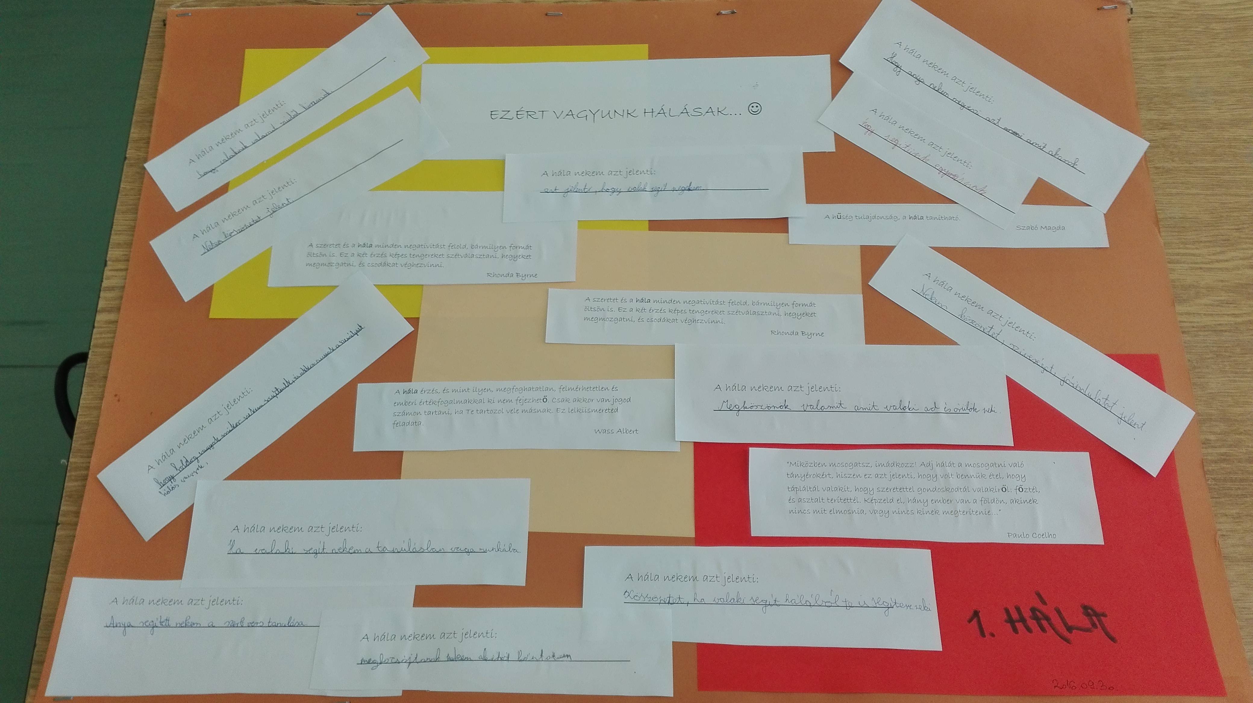 IMG_20160930_132328.jpg IMG_20160930_132328.jpg