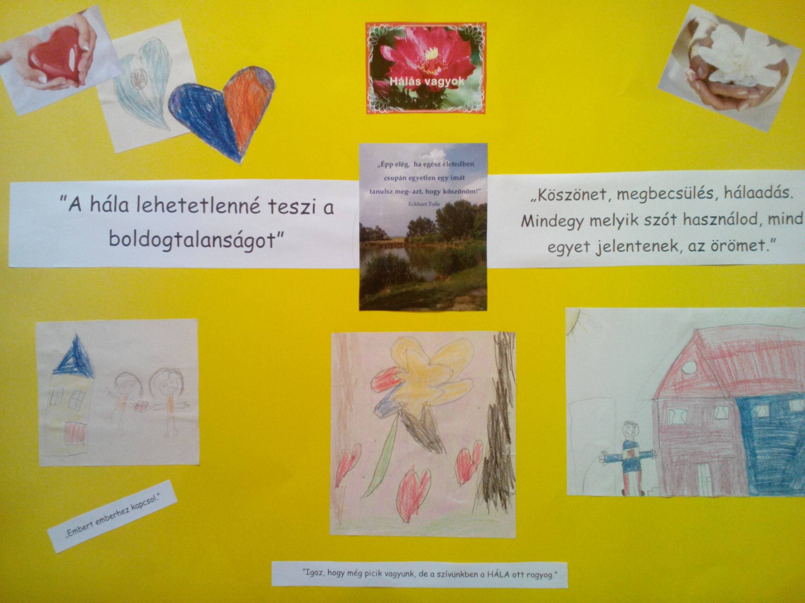 IMG_20160930_162401.jpg IMG_20160930_162401.jpg