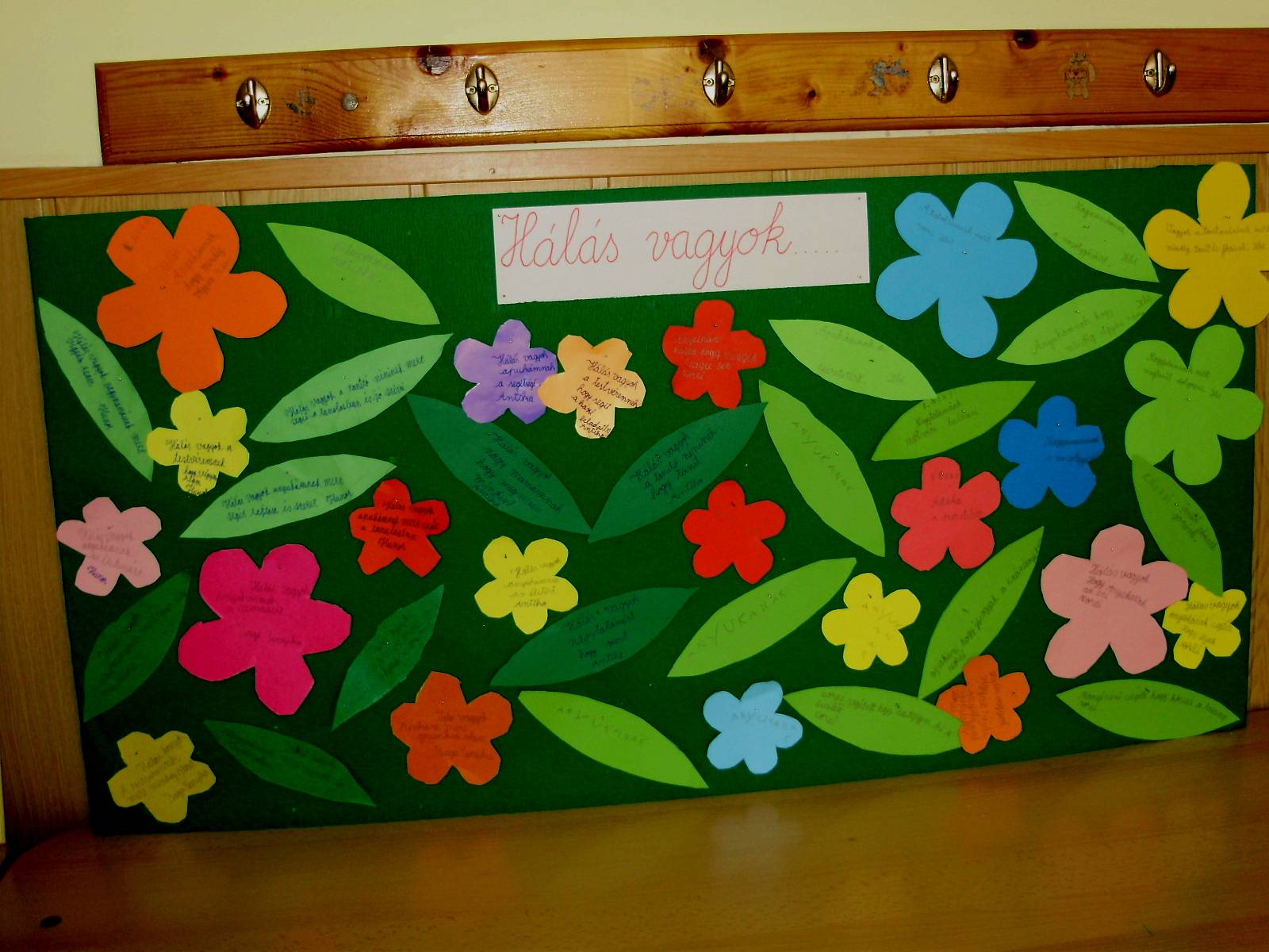 P1010013-1.jpg P1010013-1.jpg