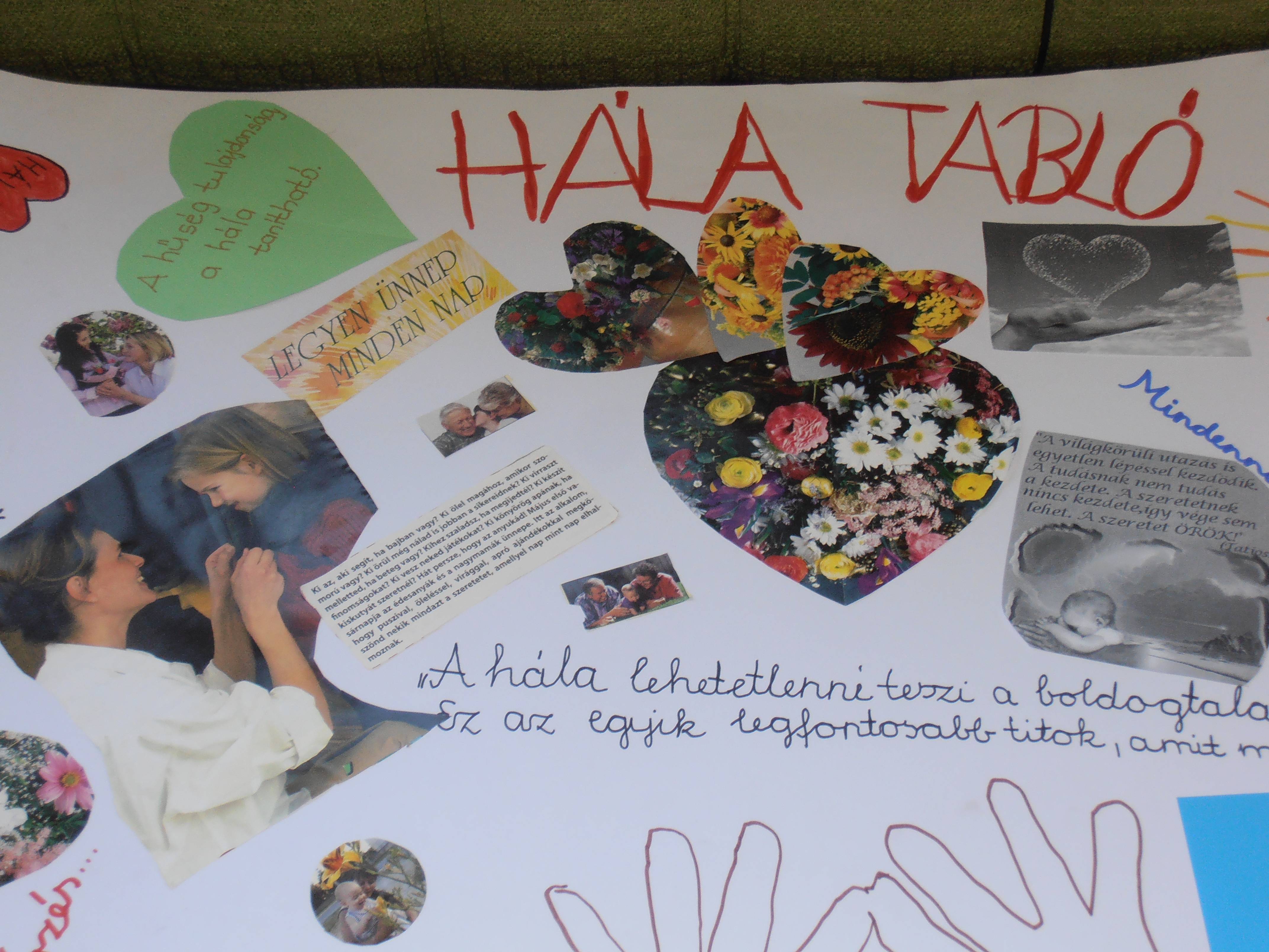 P9220793.jpg P9220793.jpg