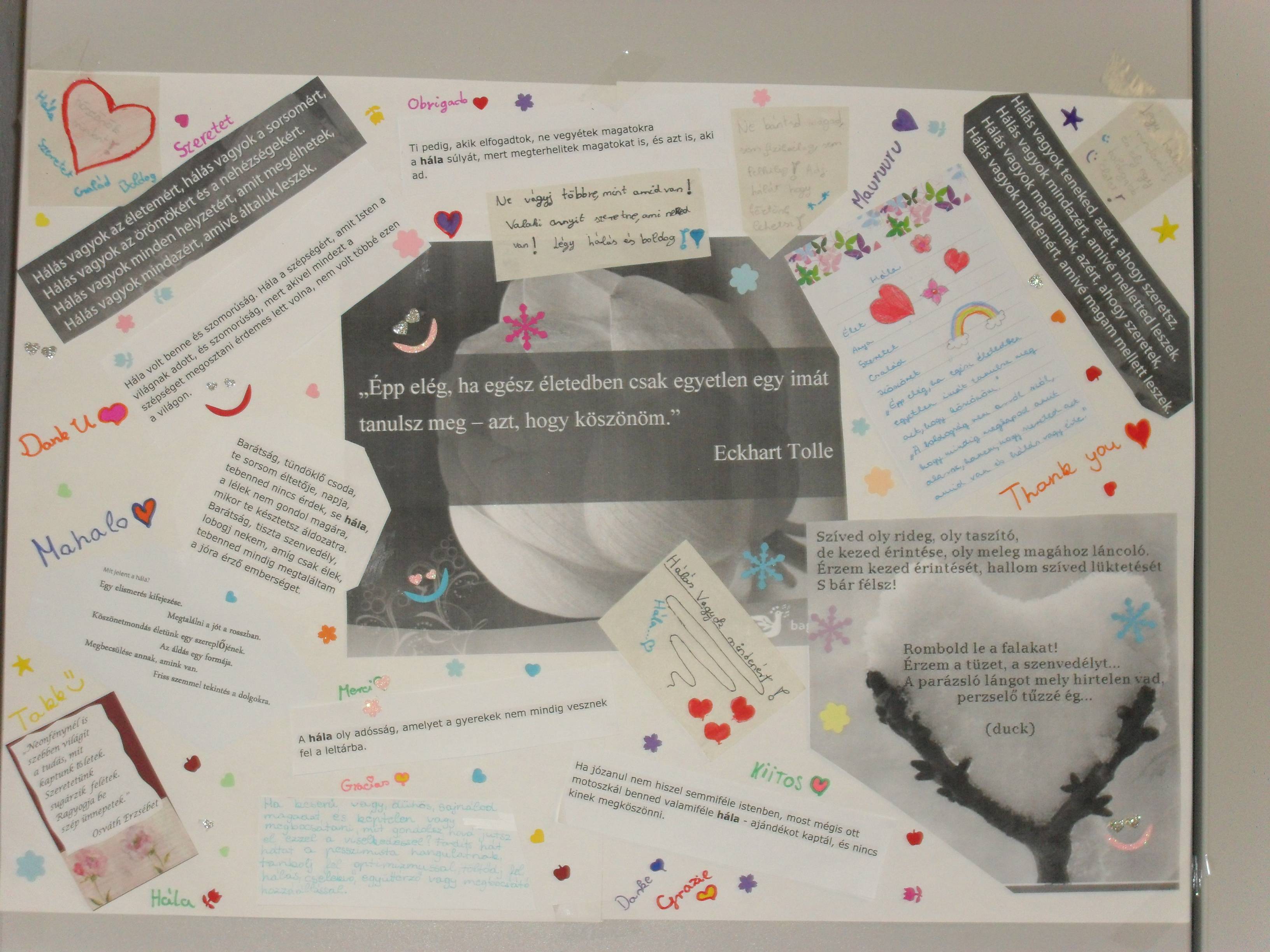 SAM_2391.jpg SAM_2391.jpg