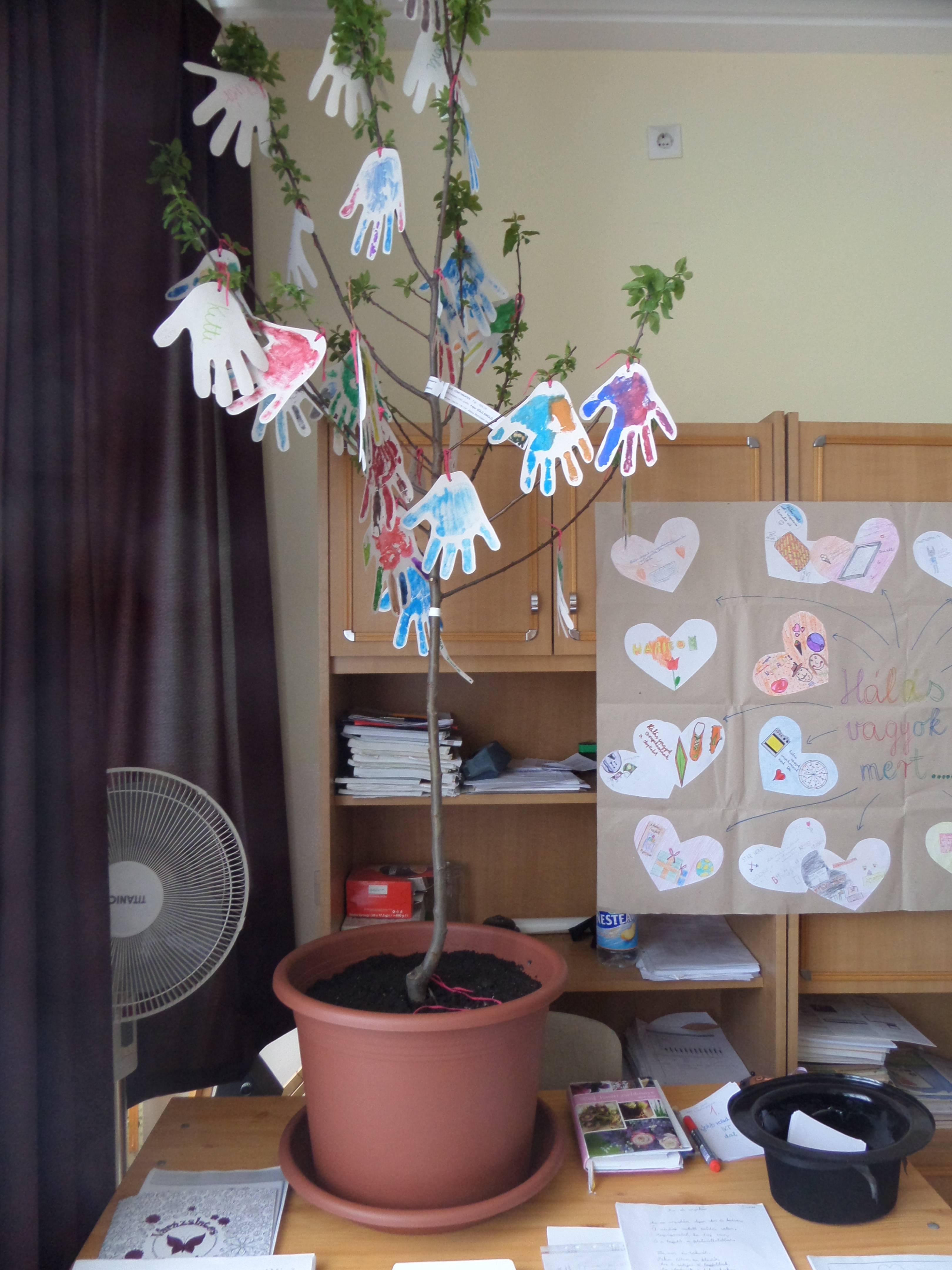 SAM_3197.jpg SAM_3197.jpg