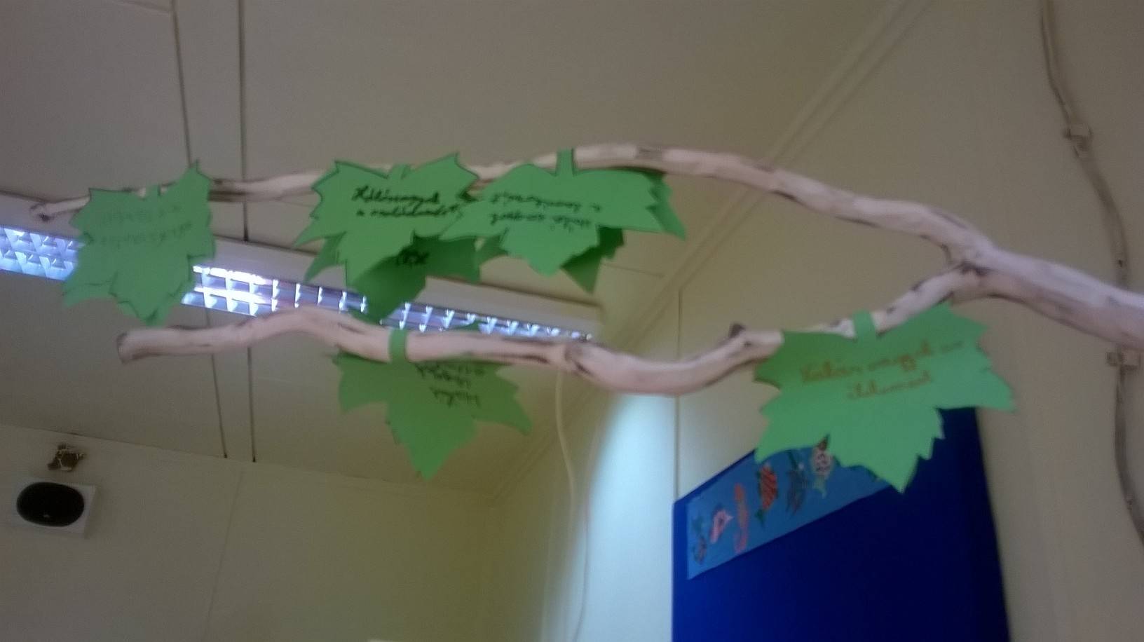 WP_20160929_004.jpg WP_20160929_004.jpg