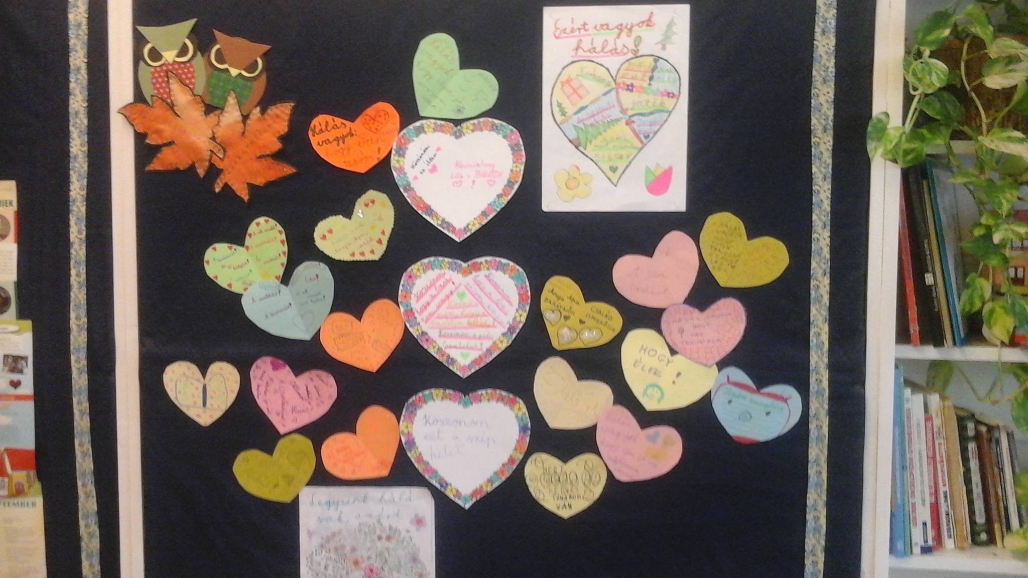 20161003_154331.jpg 20161003_154331.jpg