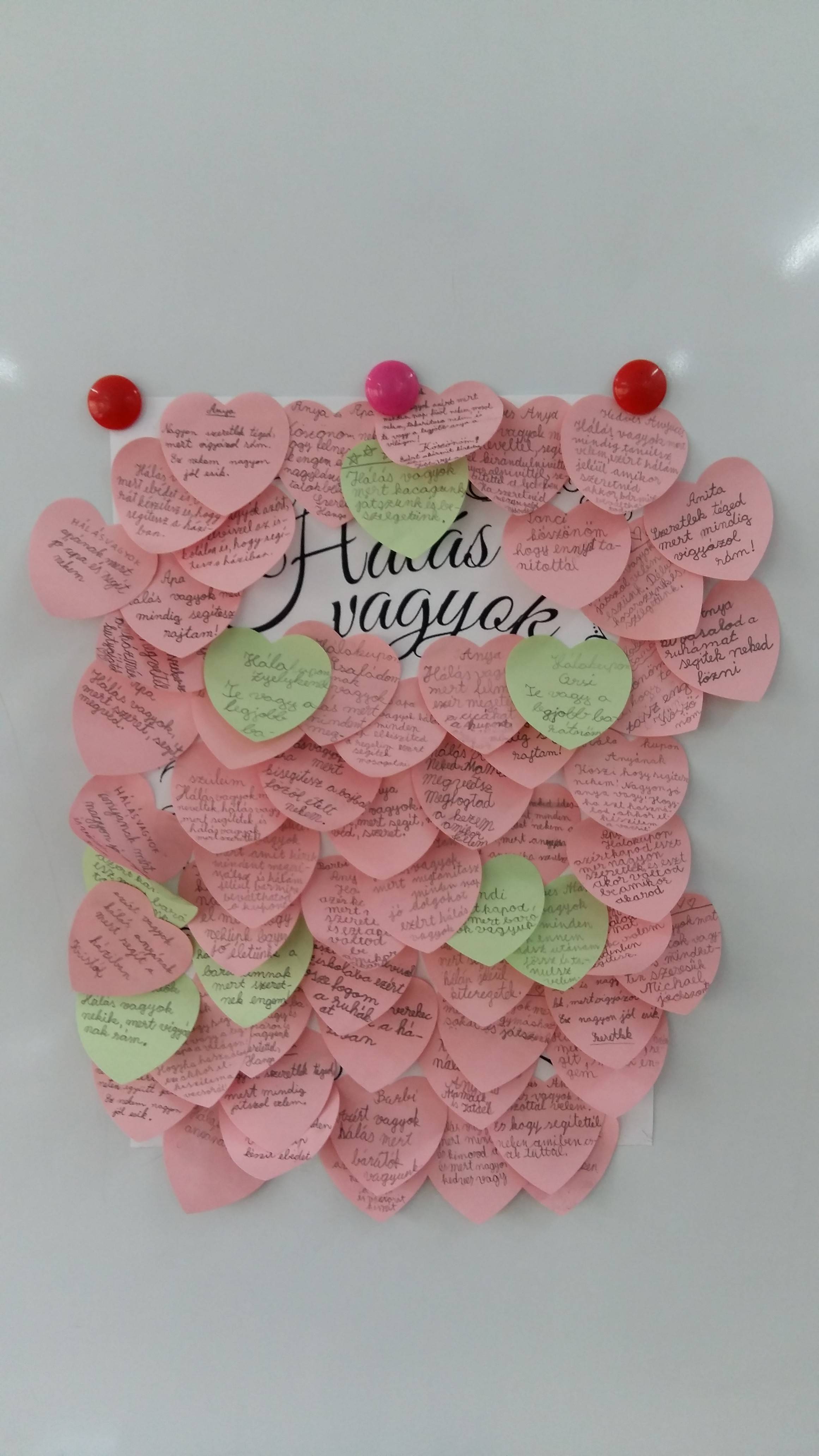 20161005_121759.jpg 20161005_121759.jpg