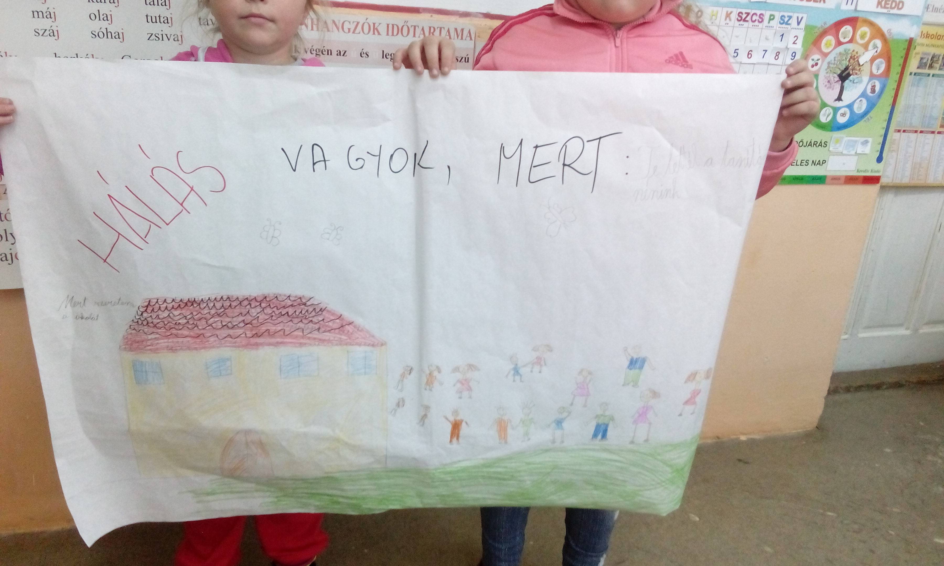 IMG_20161011_124949.jpg IMG_20161011_124949.jpg