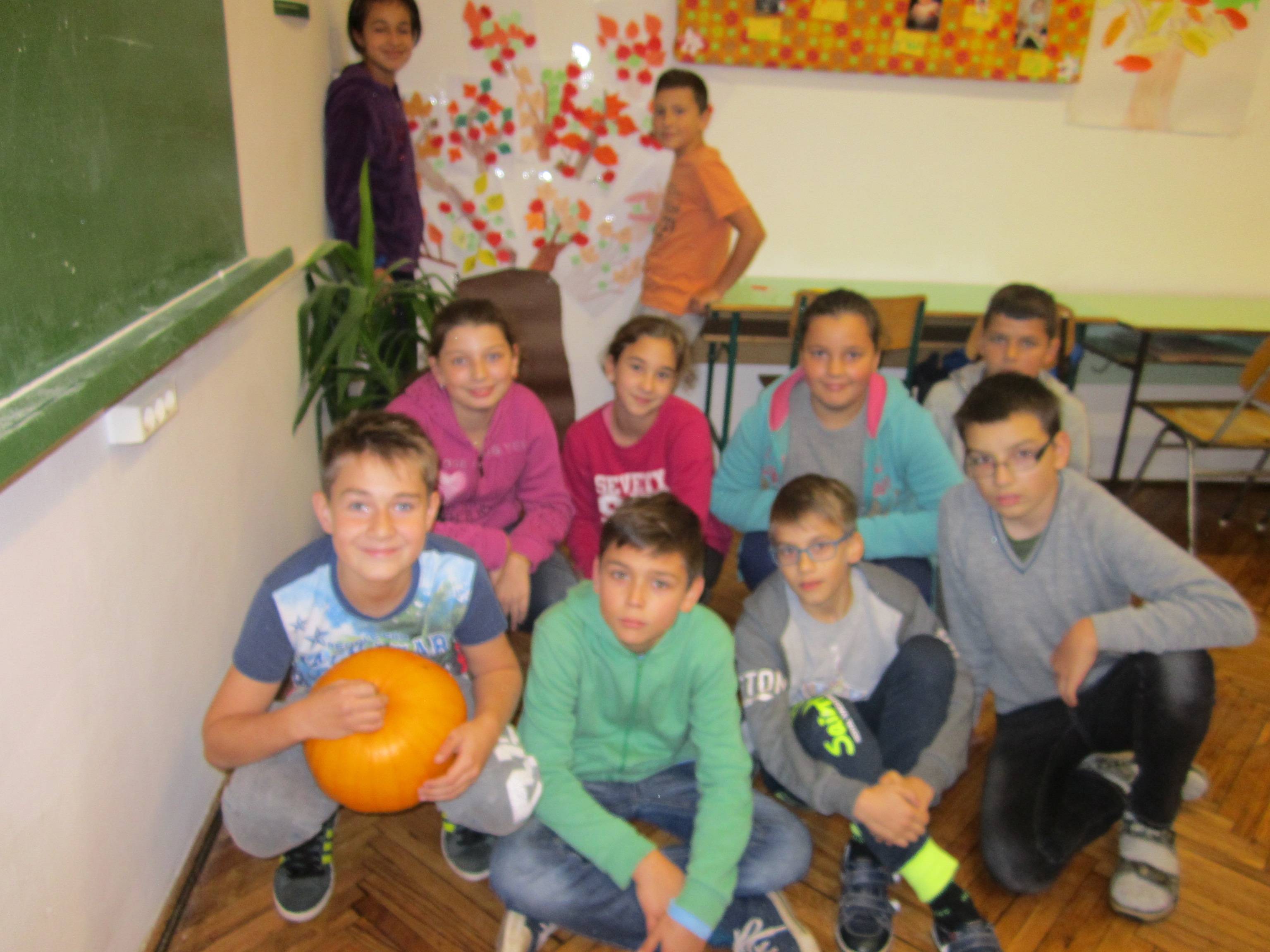IMG_3080.jpg