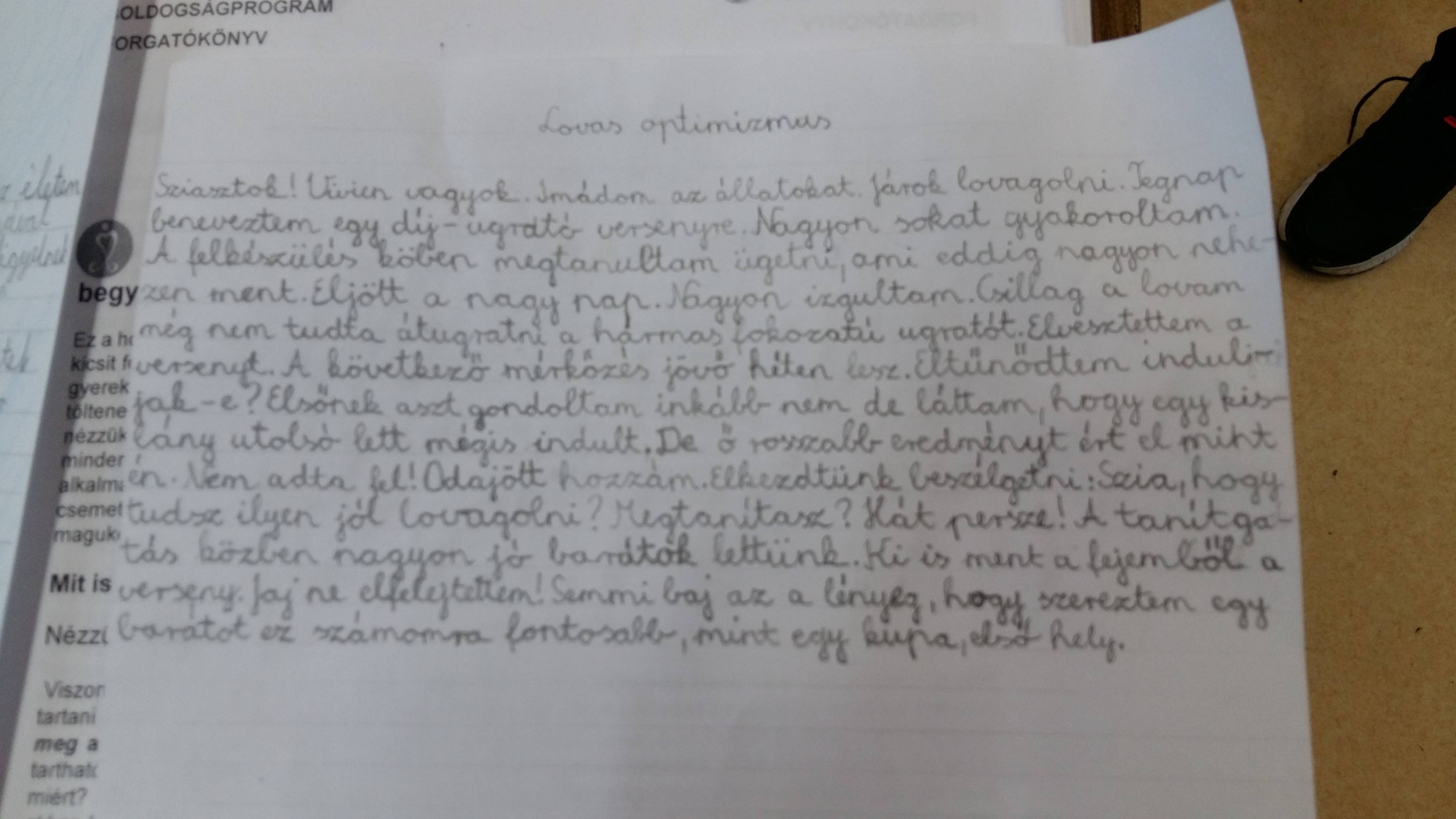 Lovas-optimizmus.jpg Lovas-optimizmus.jpg