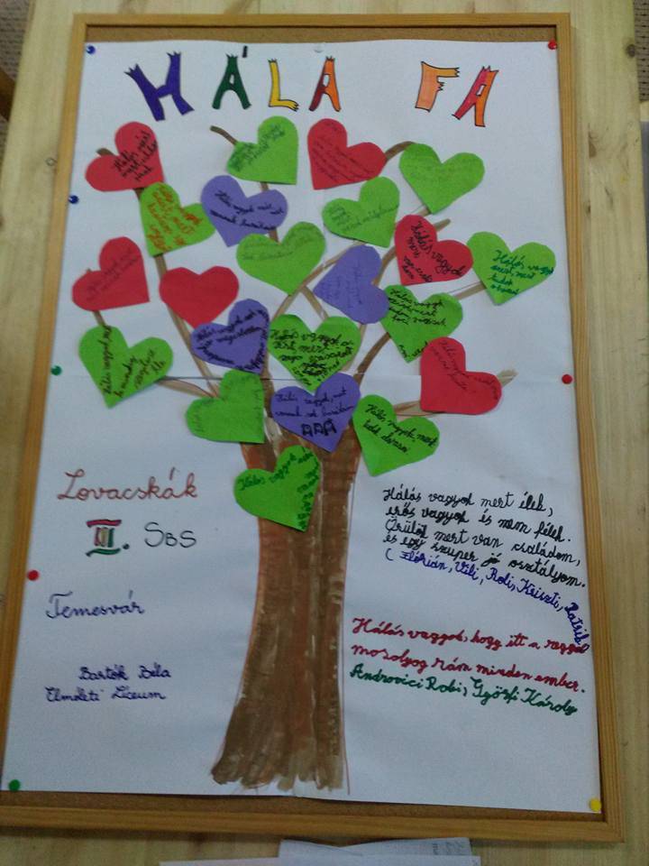 15219579_1105589502843874_6887504648666174453_n.jpg 15219579_1105589502843874_6887504648666174453_n.jpg