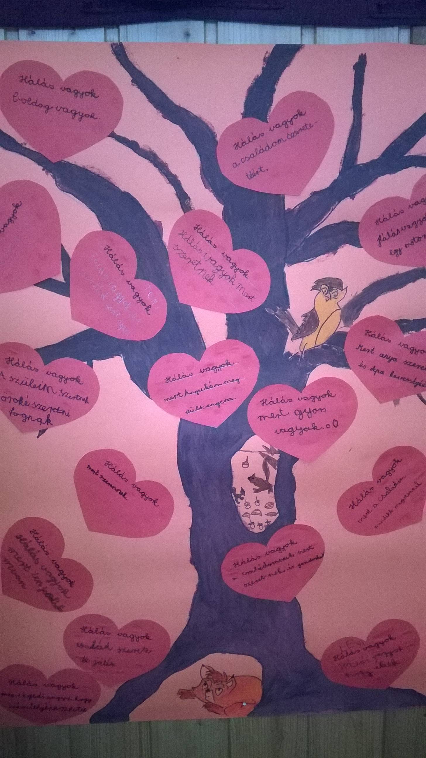 WP_20161117_12_48_34_Pro.jpg WP_20161117_12_48_34_Pro.jpg