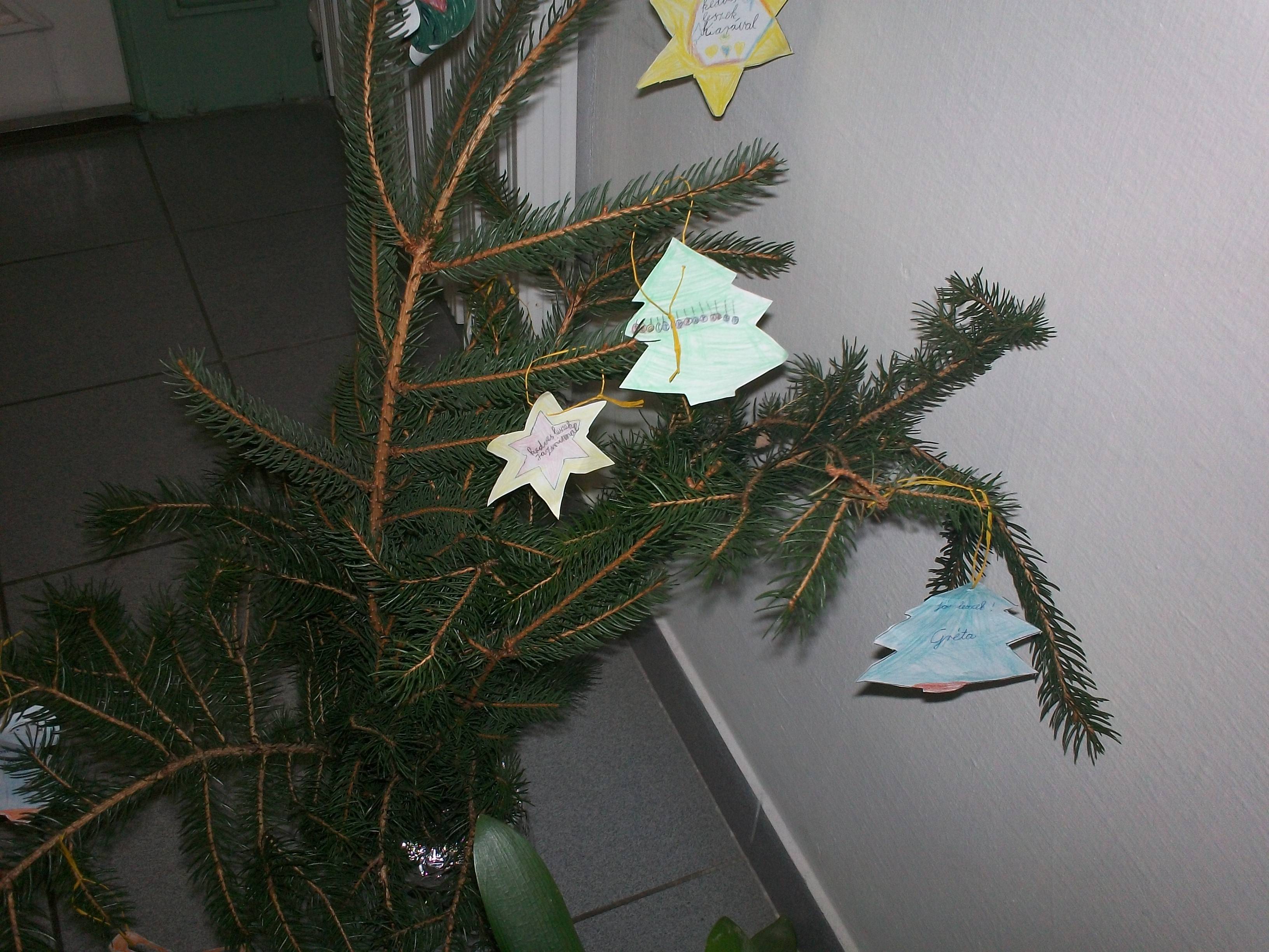 100_7763.jpg