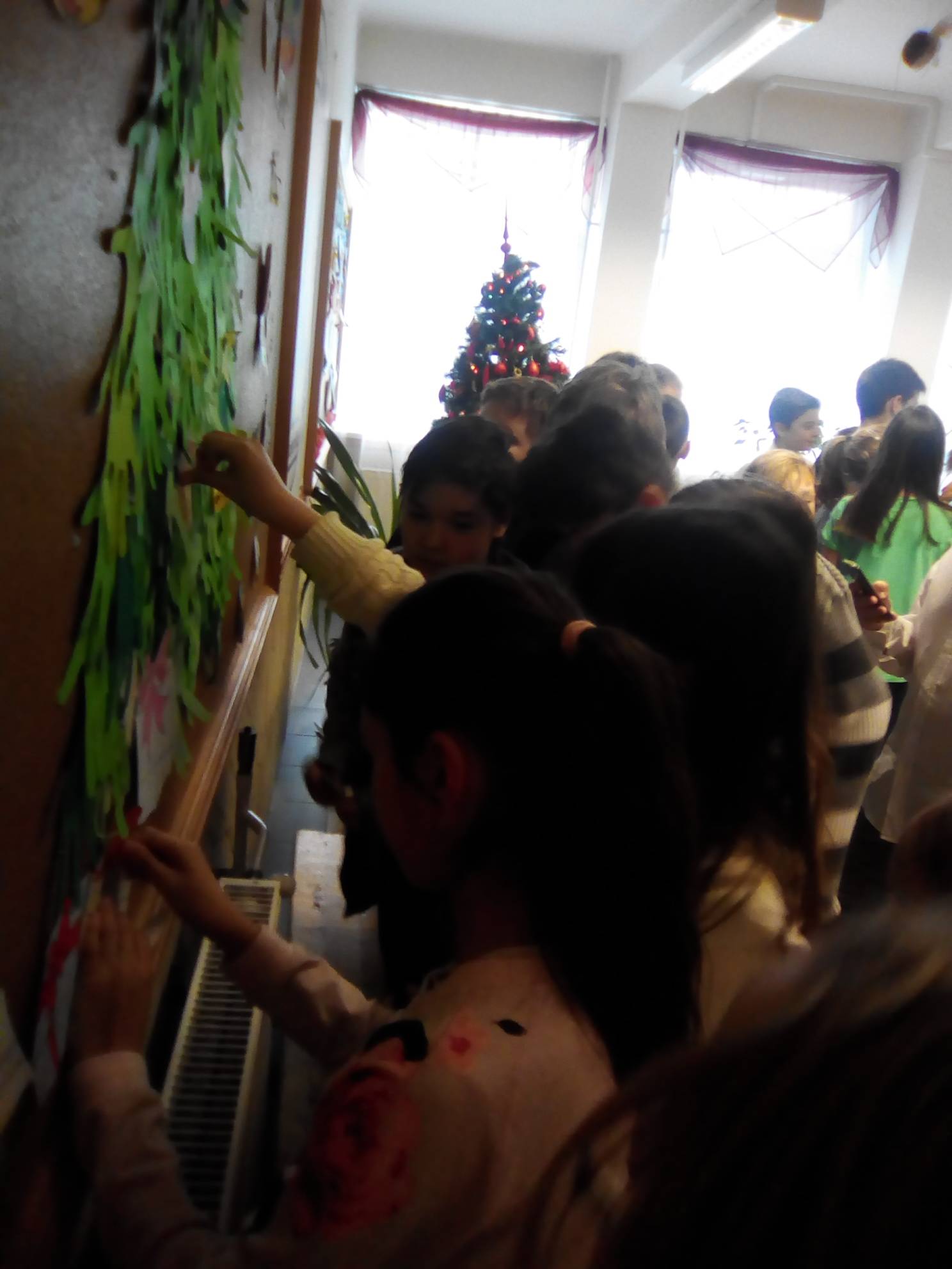 IMG_20161221_120514.jpg