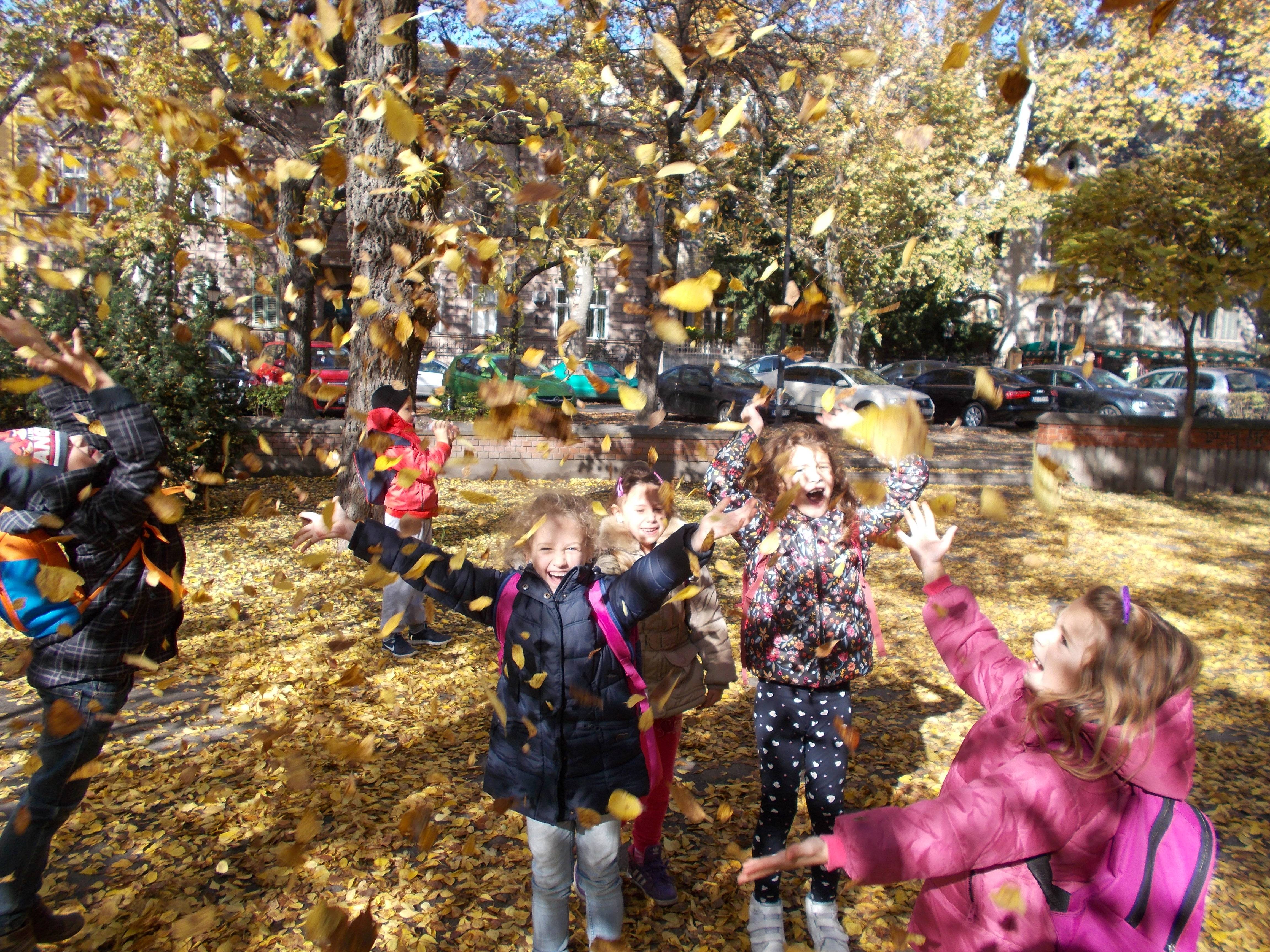 DSCN0130.jpg