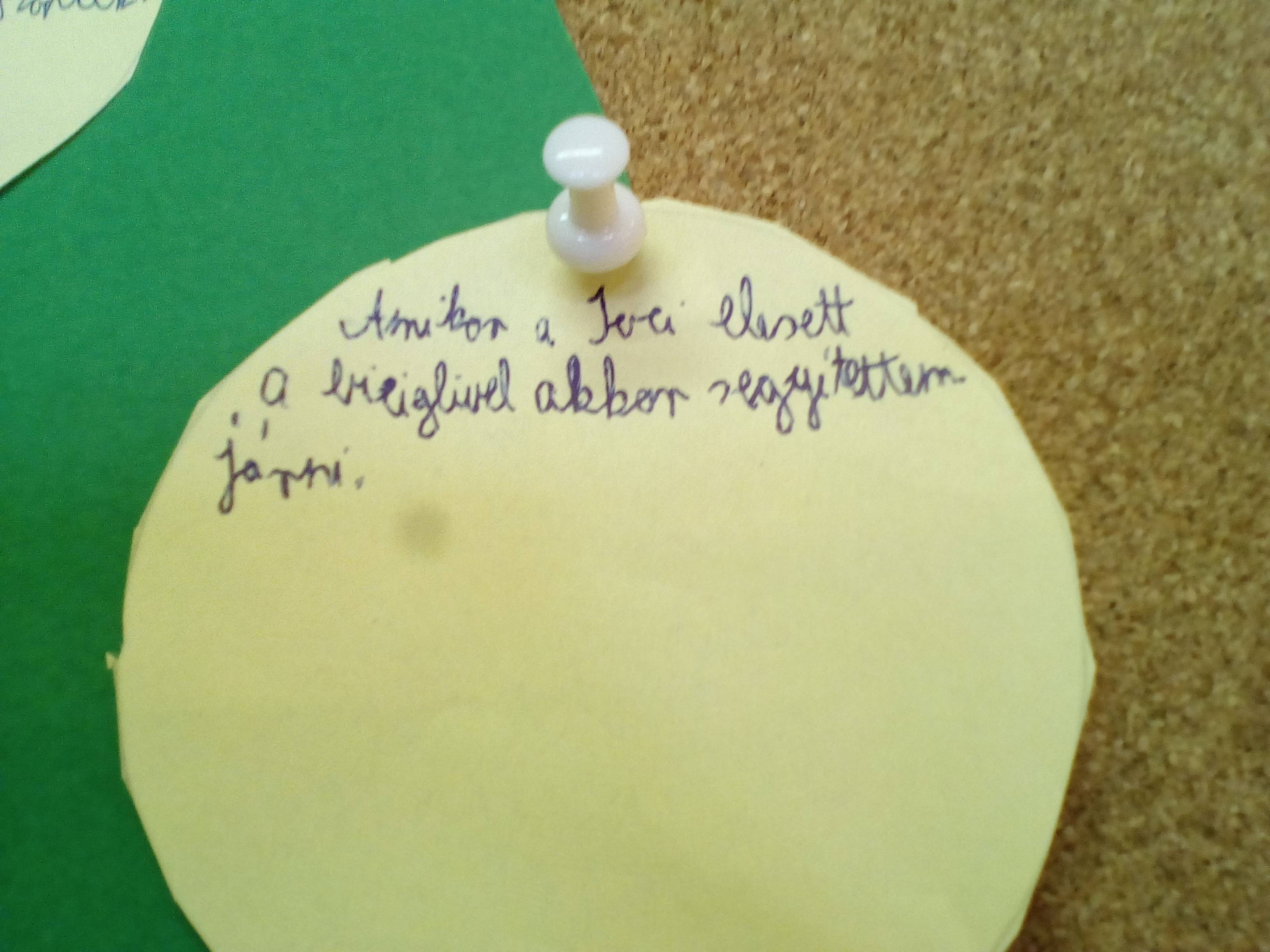 csodafenyő2.jpg