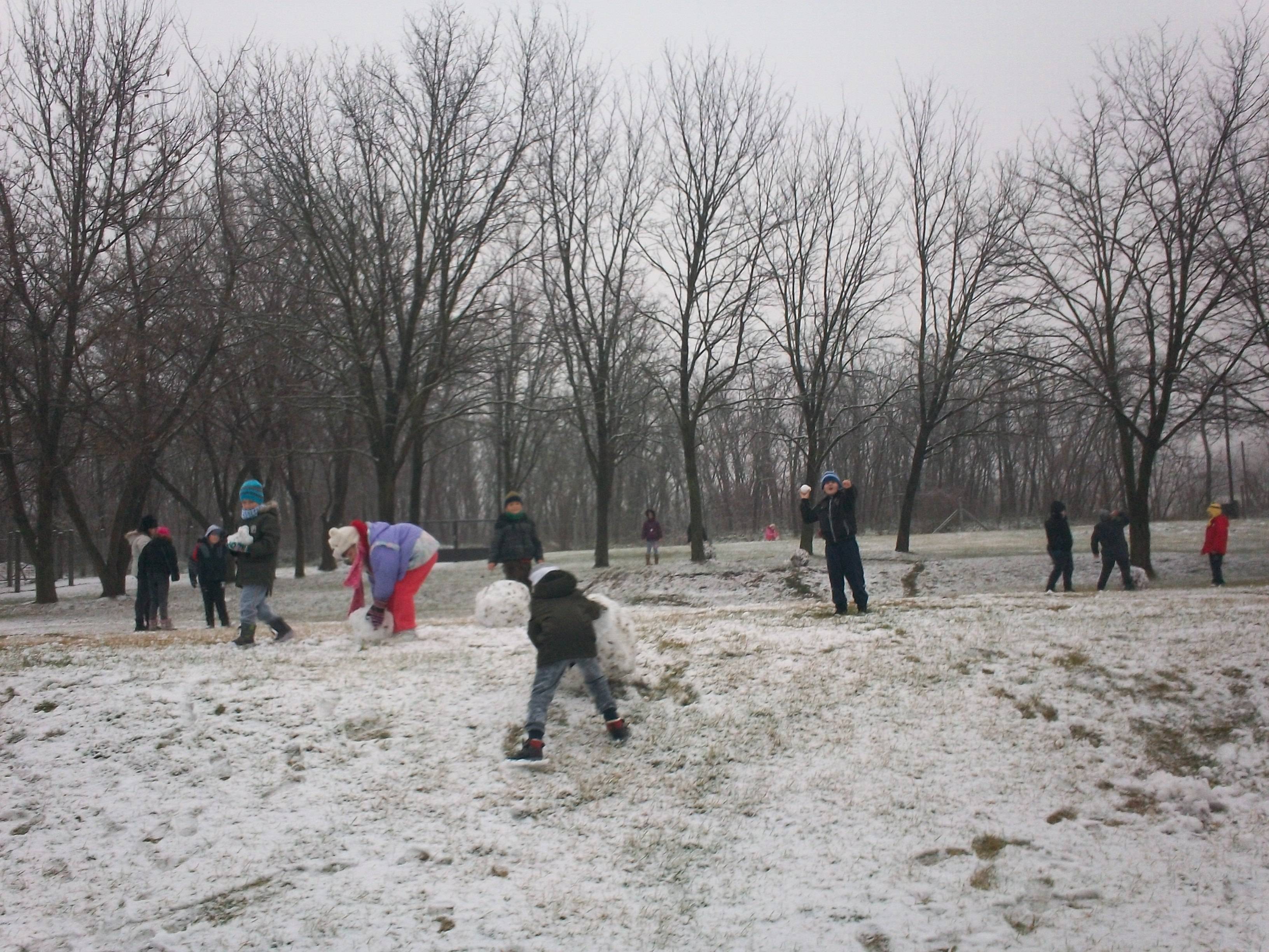 100_0233.jpg