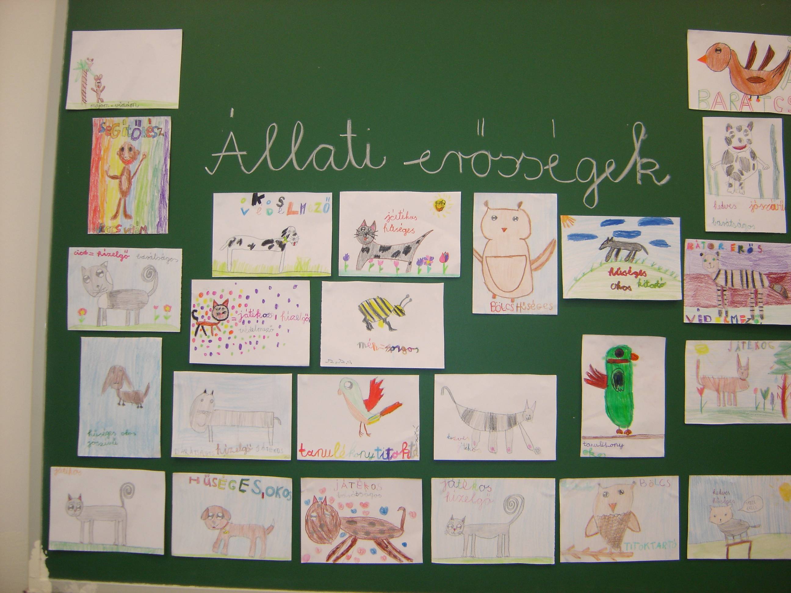 DSC08983.jpg
