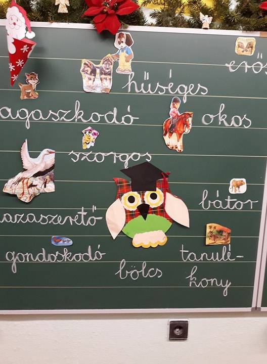 llati-erősségek-2.a.jpg