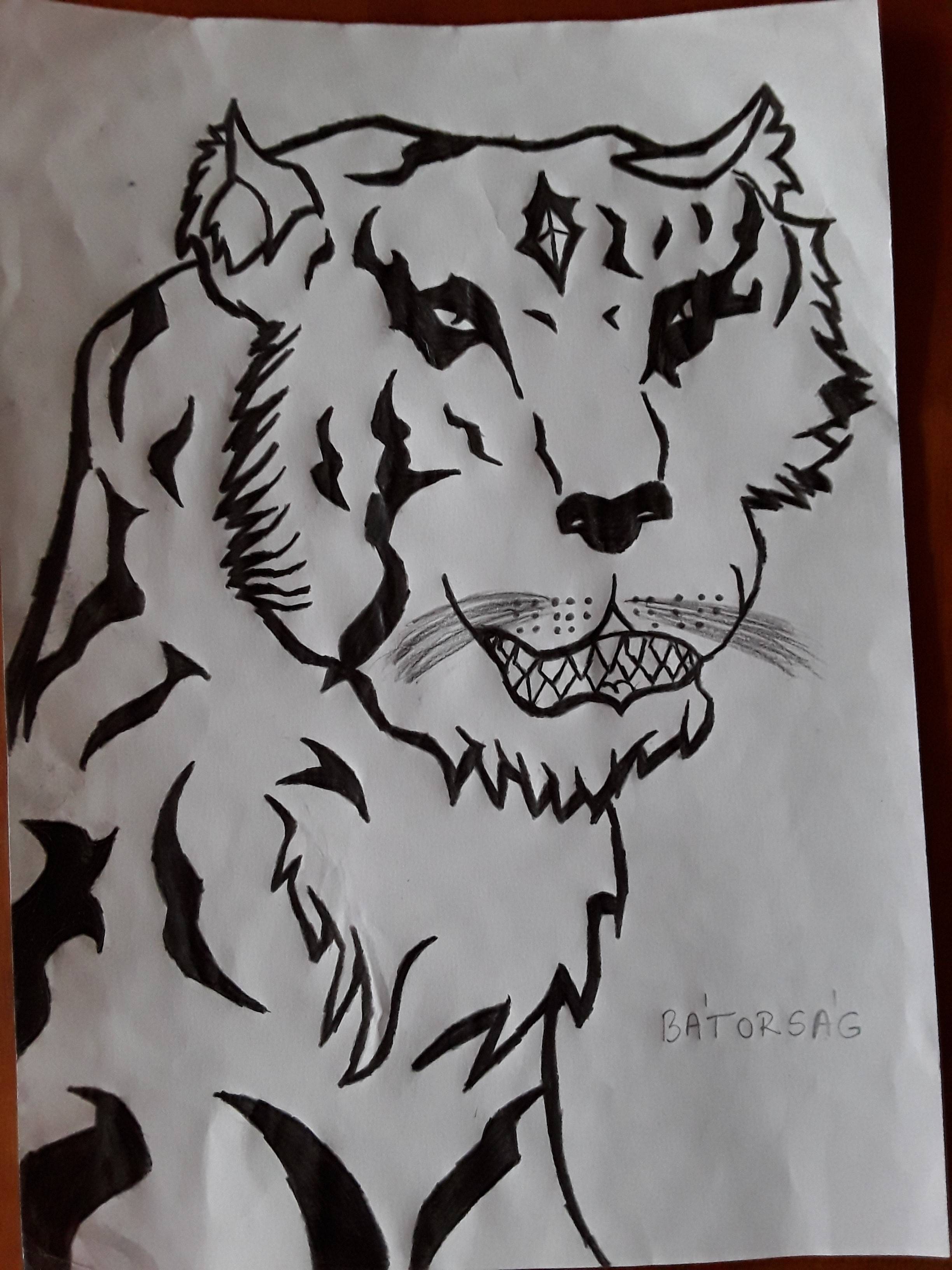 Tigris-2.jpg