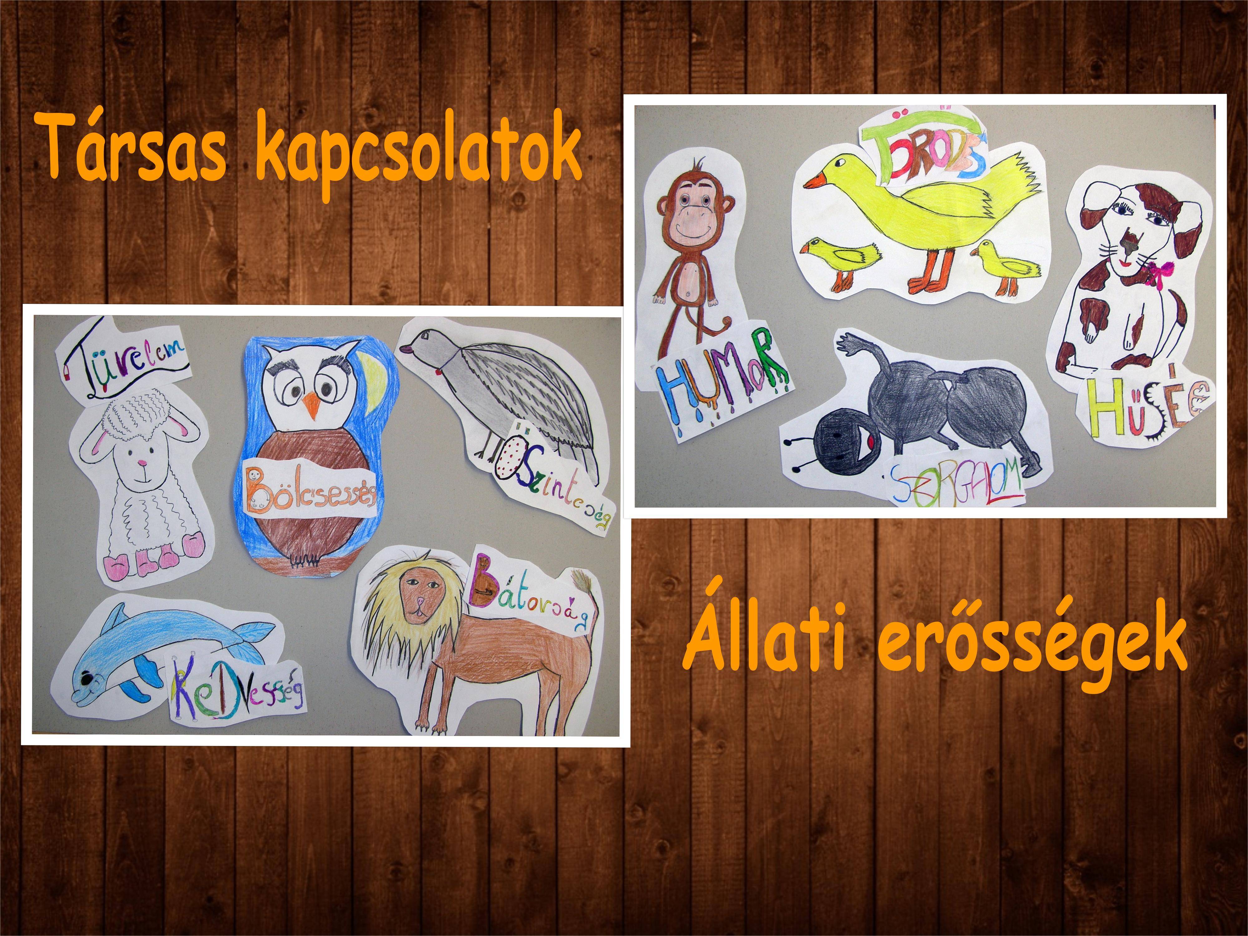 collage2.jpg