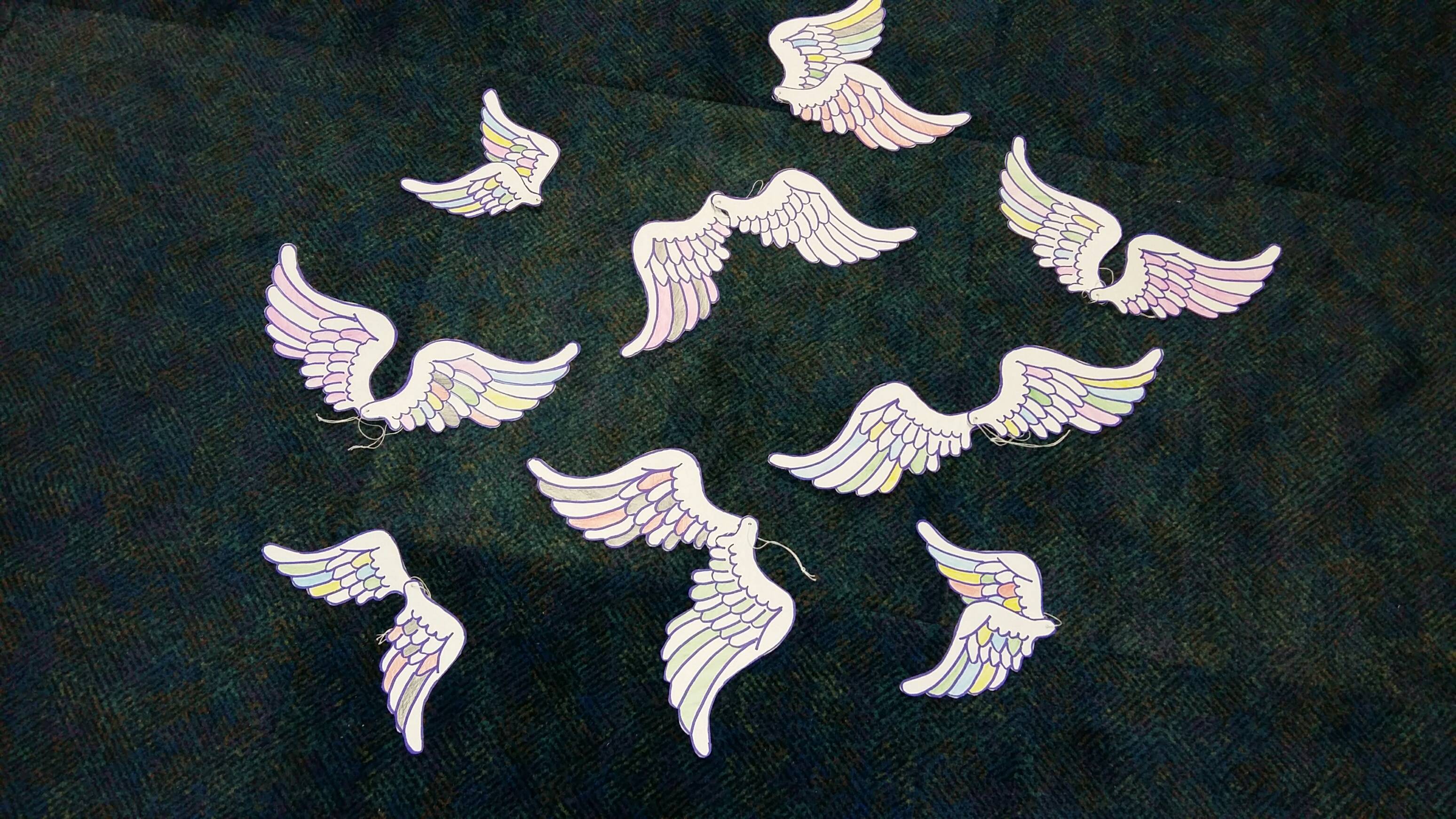 20171212_152719_resized_1.jpg