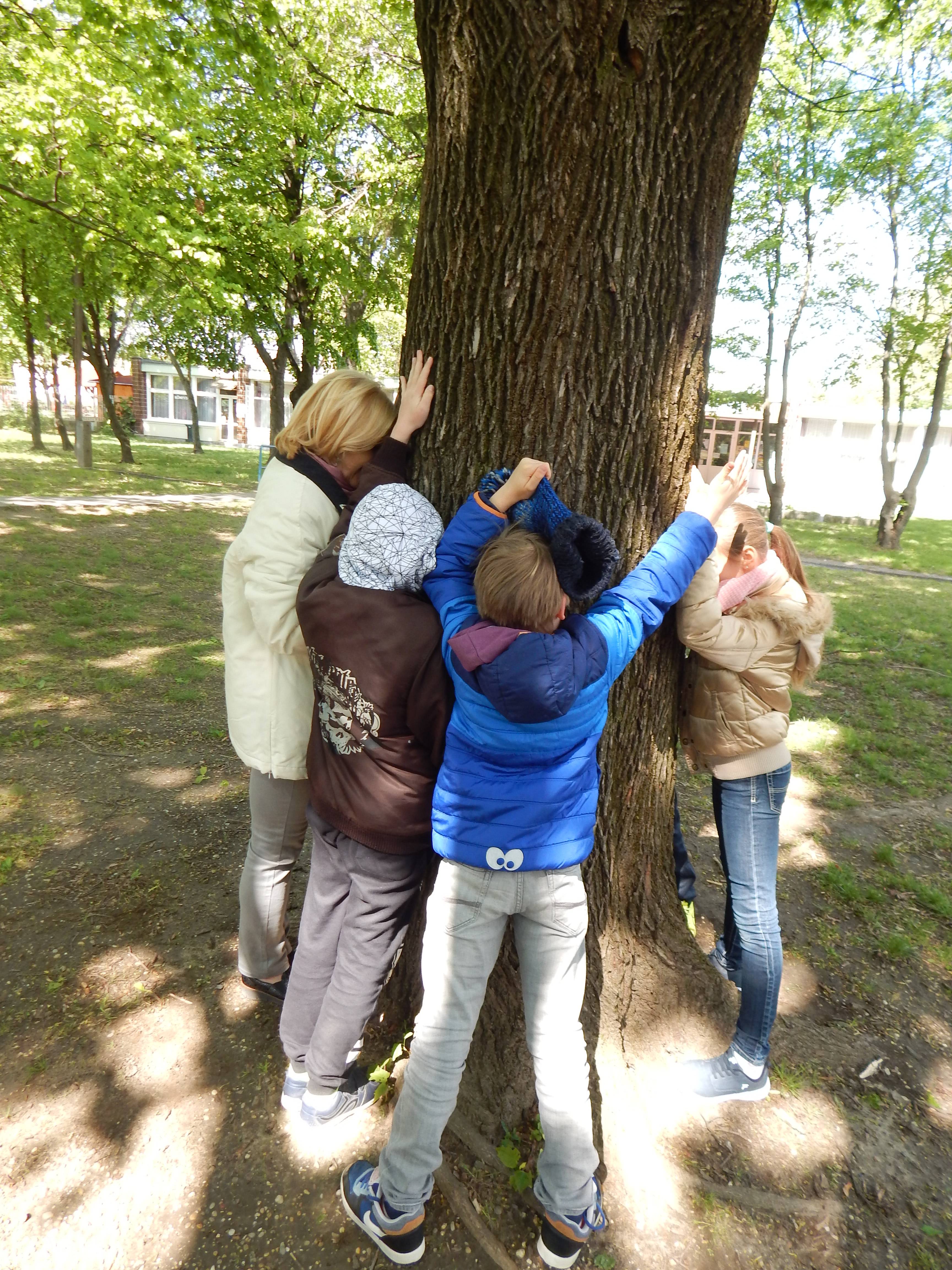 DSCN0566.jpg