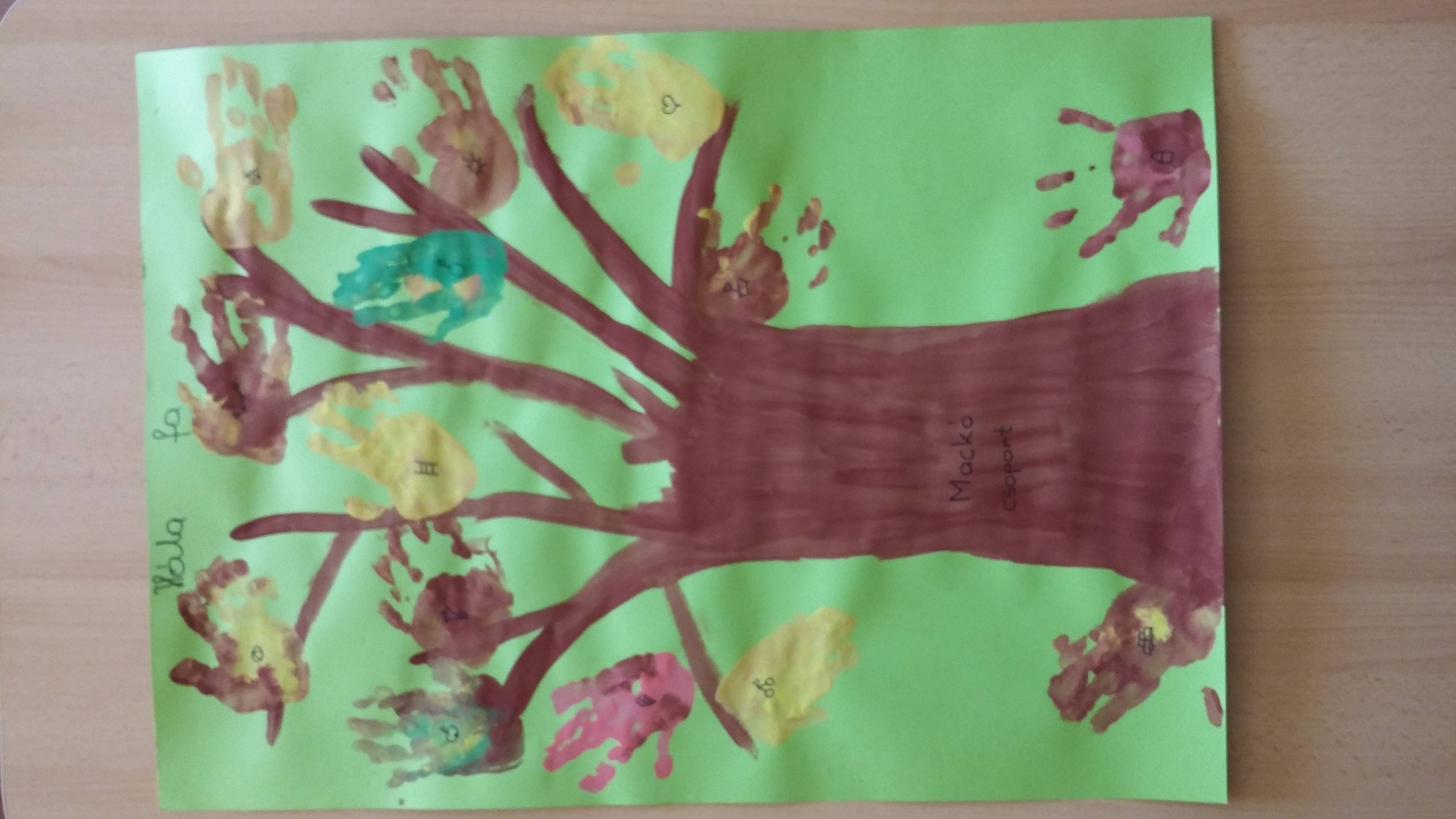 20180928_125925.jpg 20180928_125925.jpg