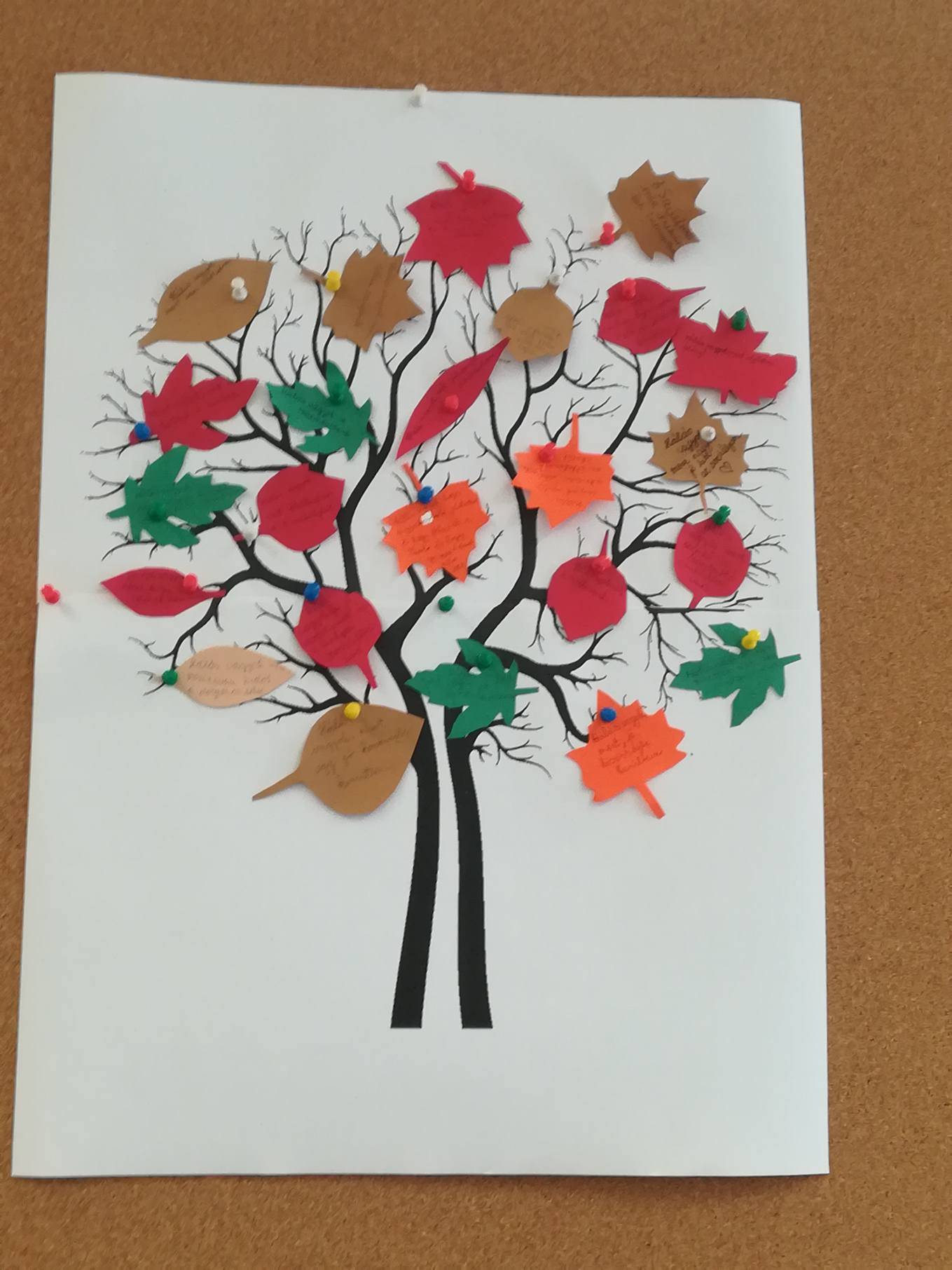 42512214_305793993343274_5001832300611108864_n.jpg 42512214_305793993343274_5001832300611108864_n.jpg