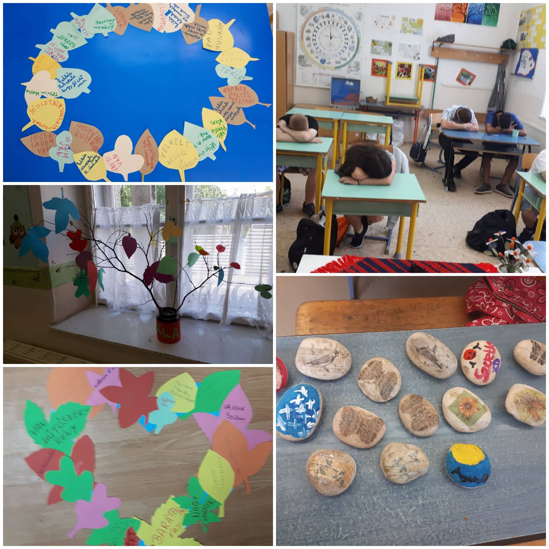 42627960_323507138406775_5776753252460658688_n.jpg 42627960_323507138406775_5776753252460658688_n.jpg