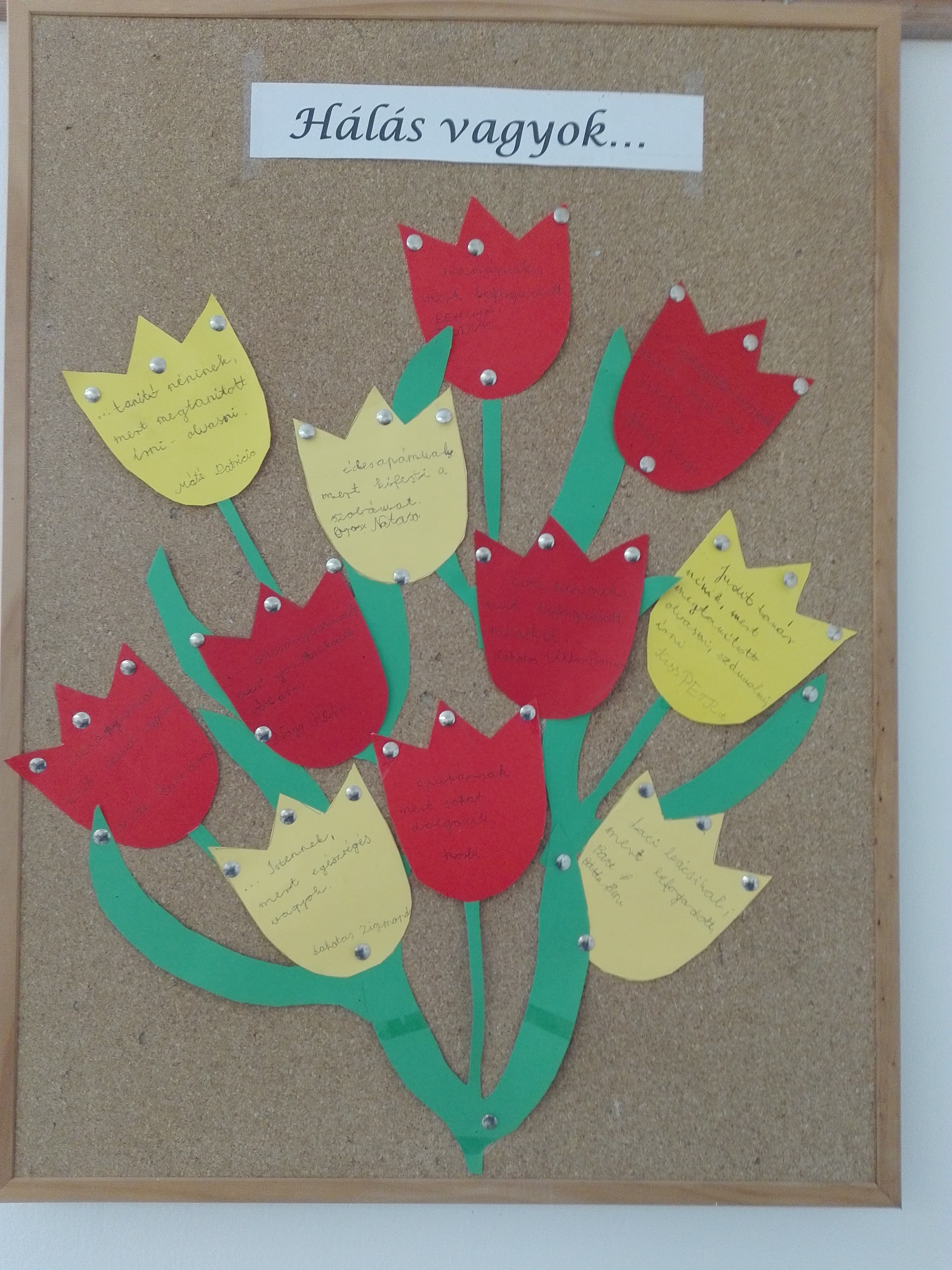 42696876_2308823895798907_1145116879015116800_n.jpg 42696876_2308823895798907_1145116879015116800_n.jpg