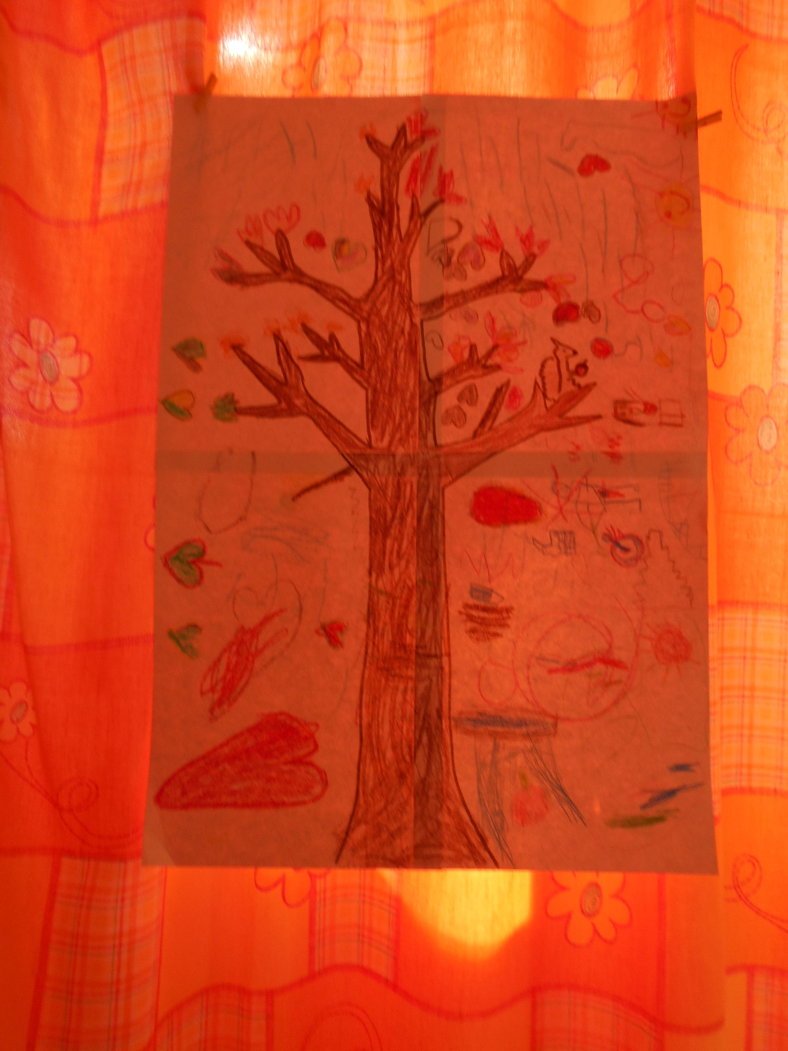 DSCN2485.jpg DSCN2485.jpg