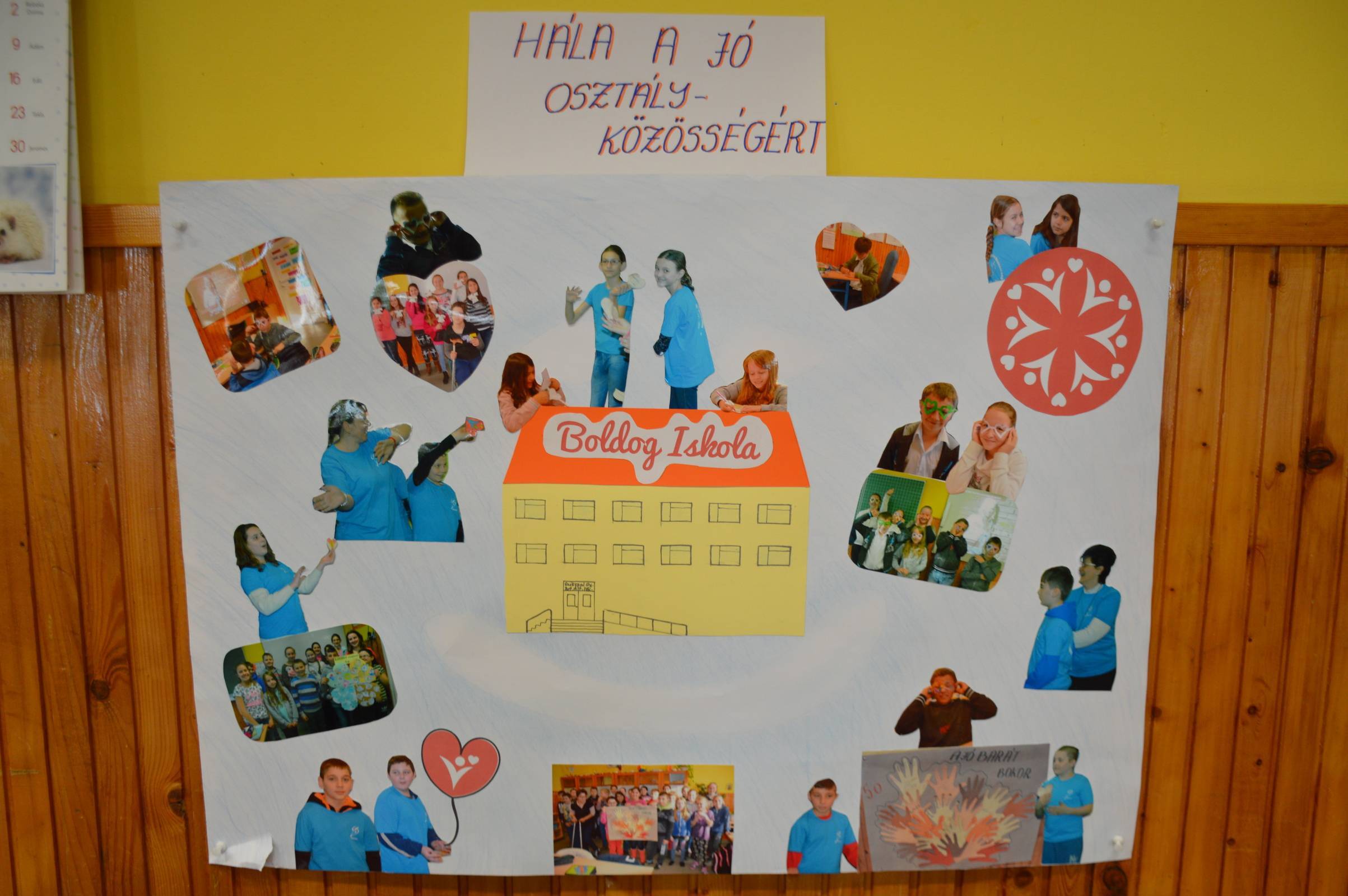 DSC_0196.jpg DSC_0196.jpg