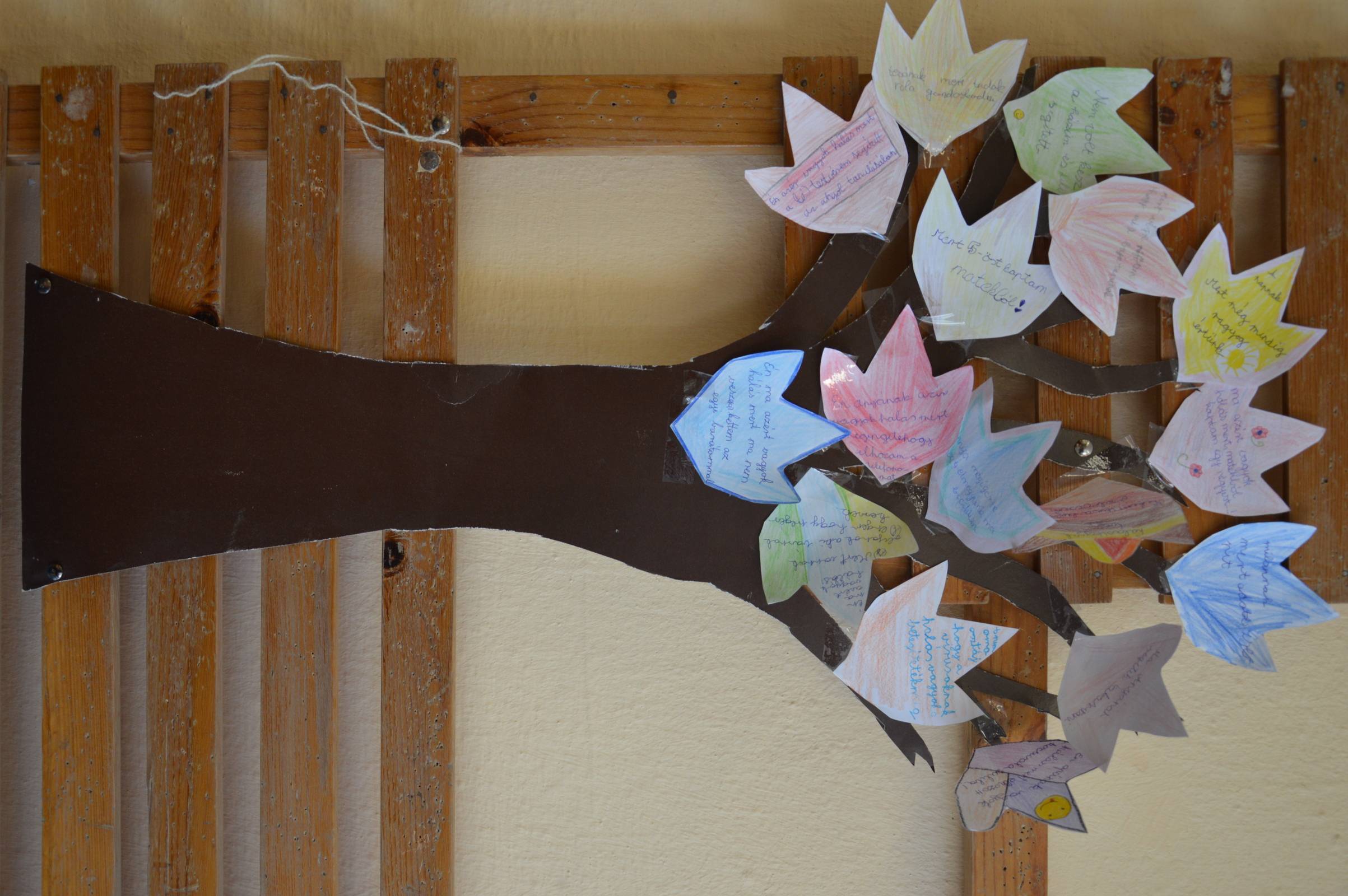 DSC_0320.jpg DSC_0320.jpg