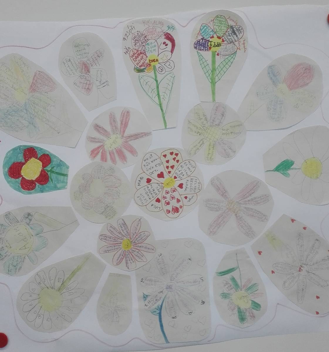 Hálavirág-1.jpg Hálavirág-1.jpg