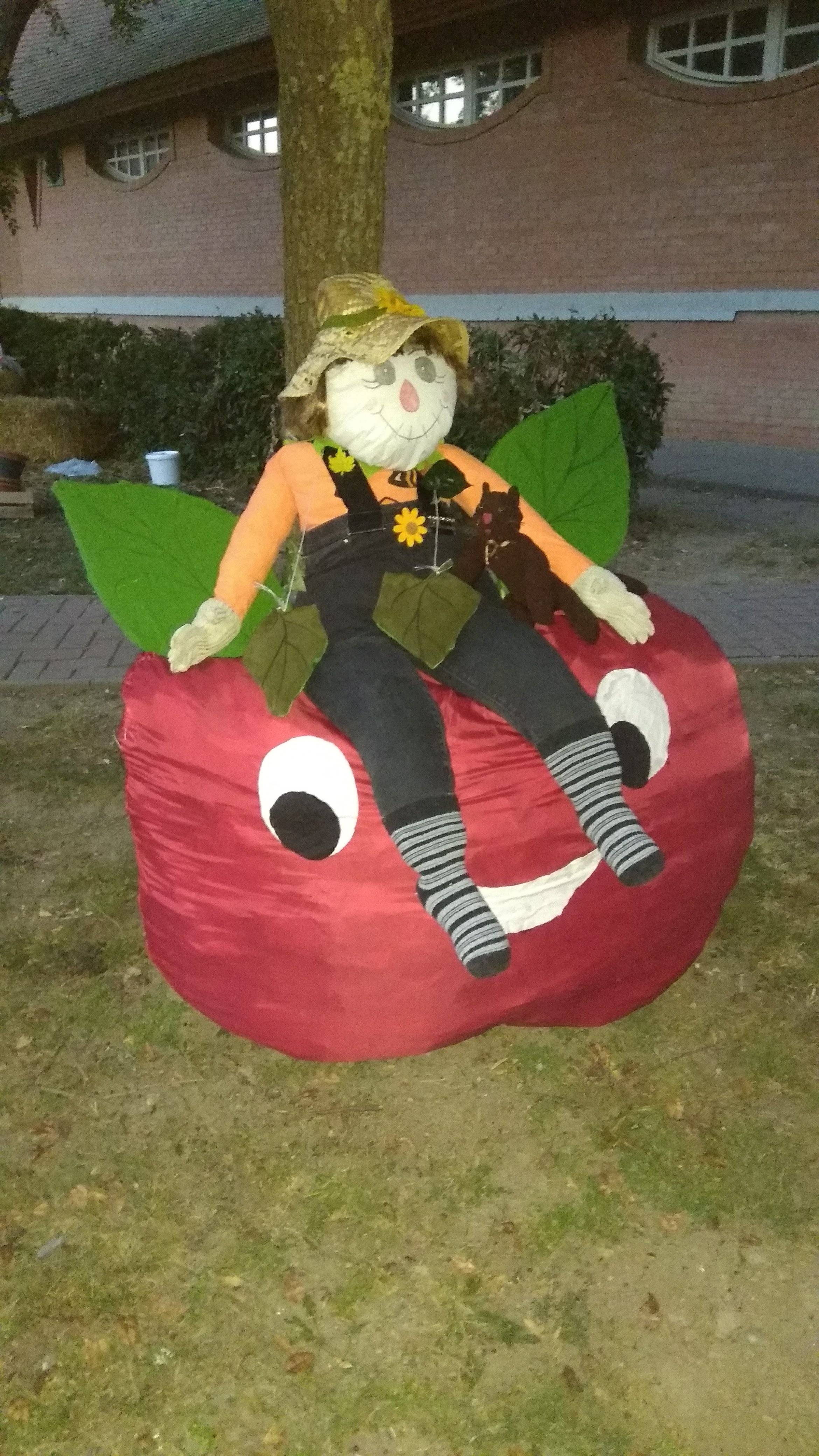 IMG_20180919.jpg IMG_20180919.jpg