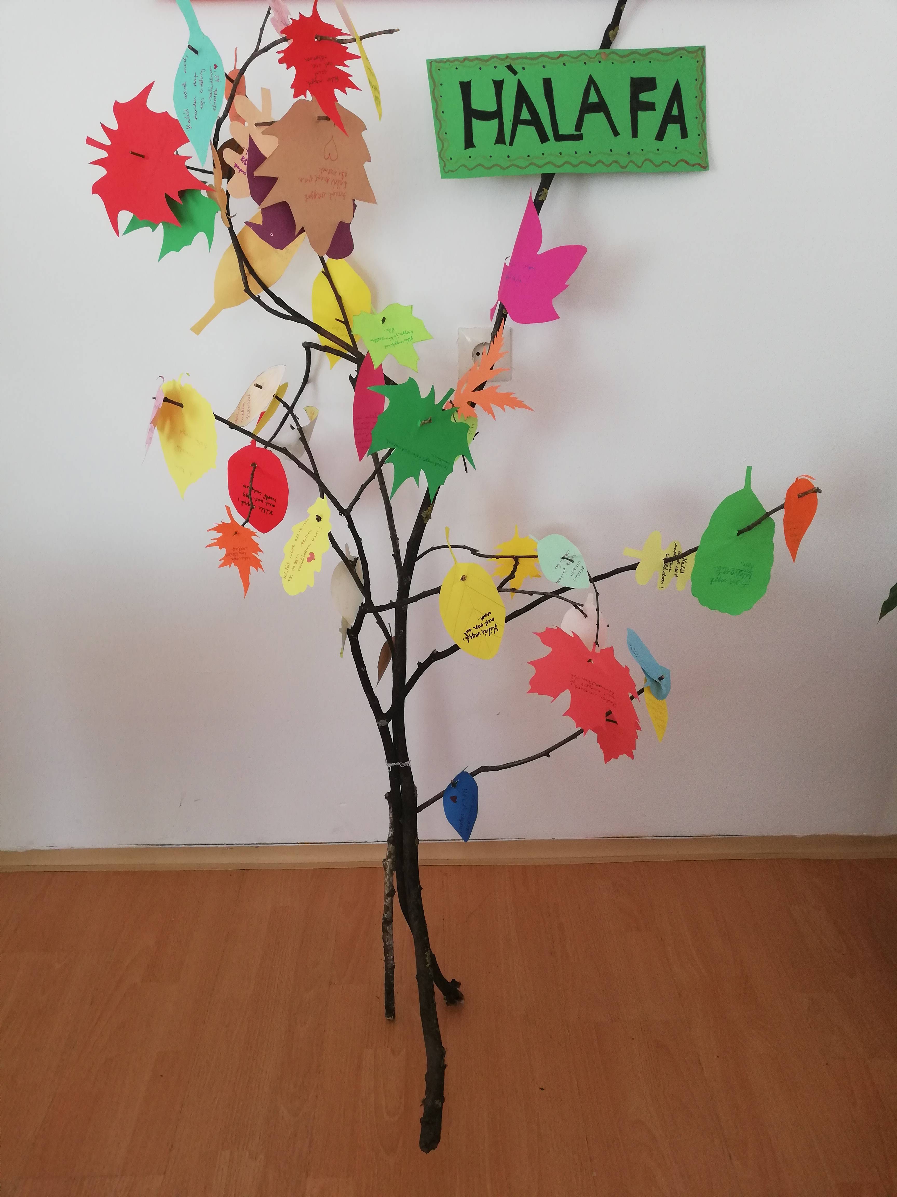 IMG_20180927_1337021.jpg IMG_20180927_1337021.jpg