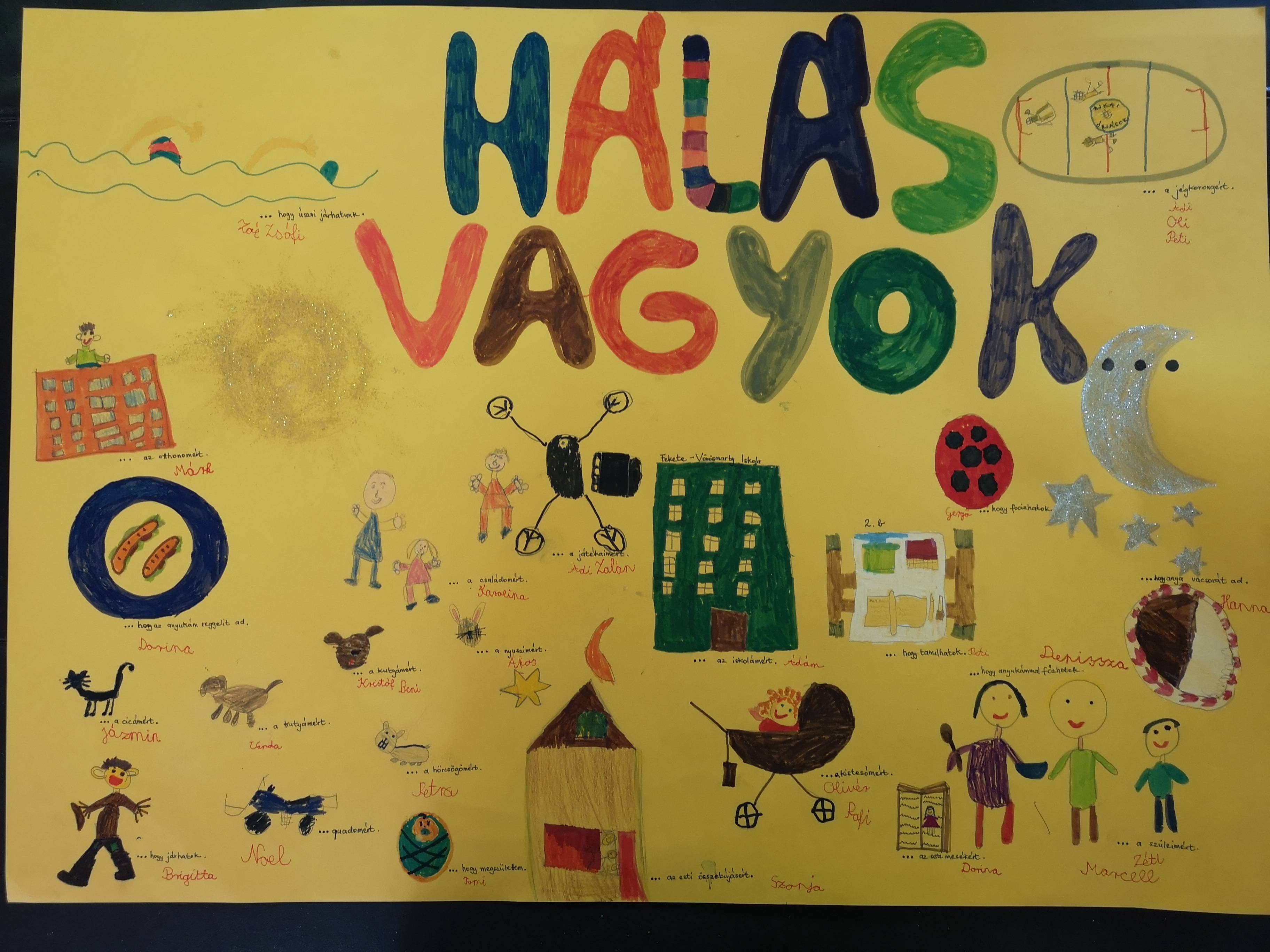 IMG_20180929_150256.jpg IMG_20180929_150256.jpg