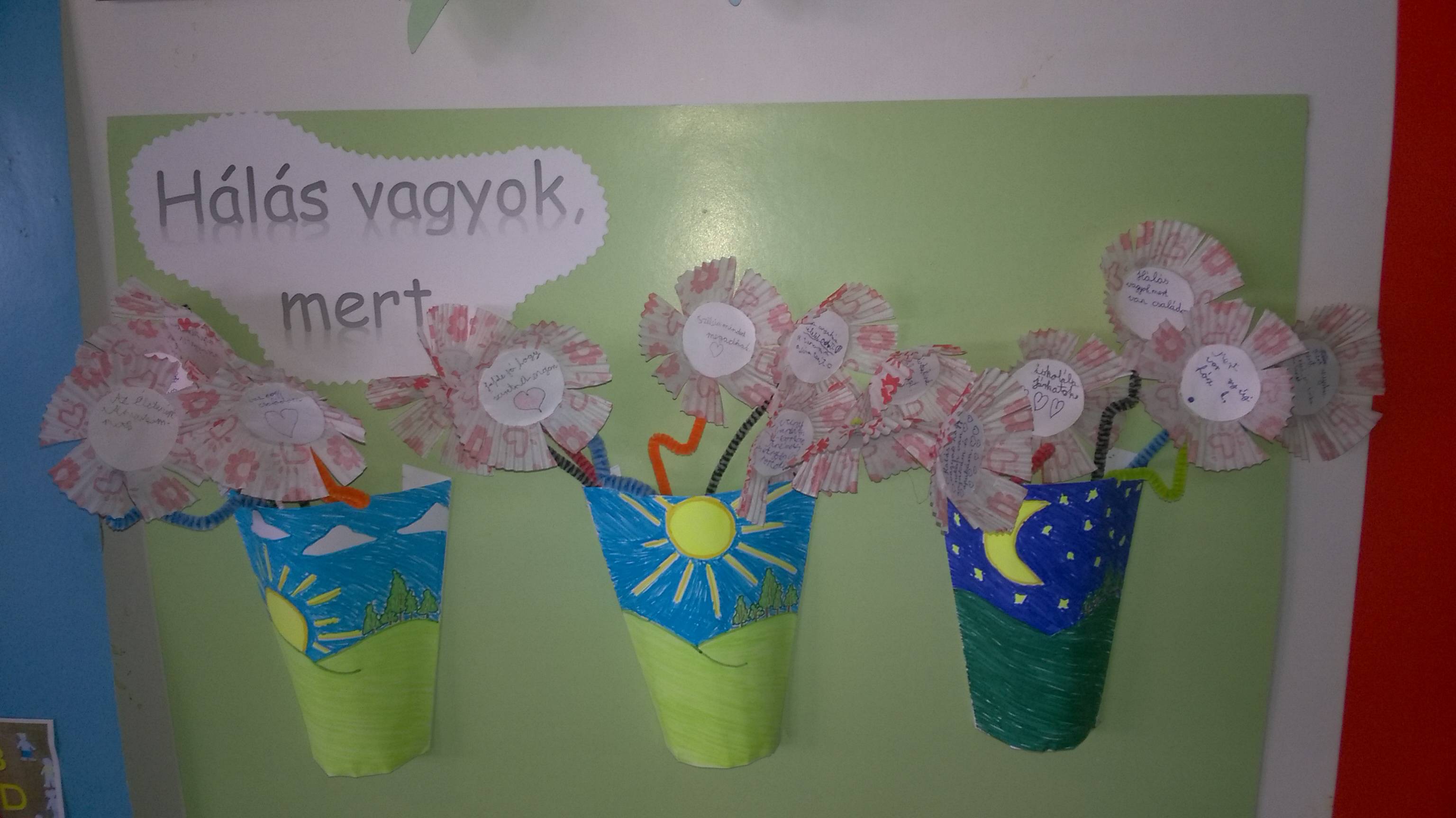 WP_20180928_11_08_07_Pro.jpg WP_20180928_11_08_07_Pro.jpg